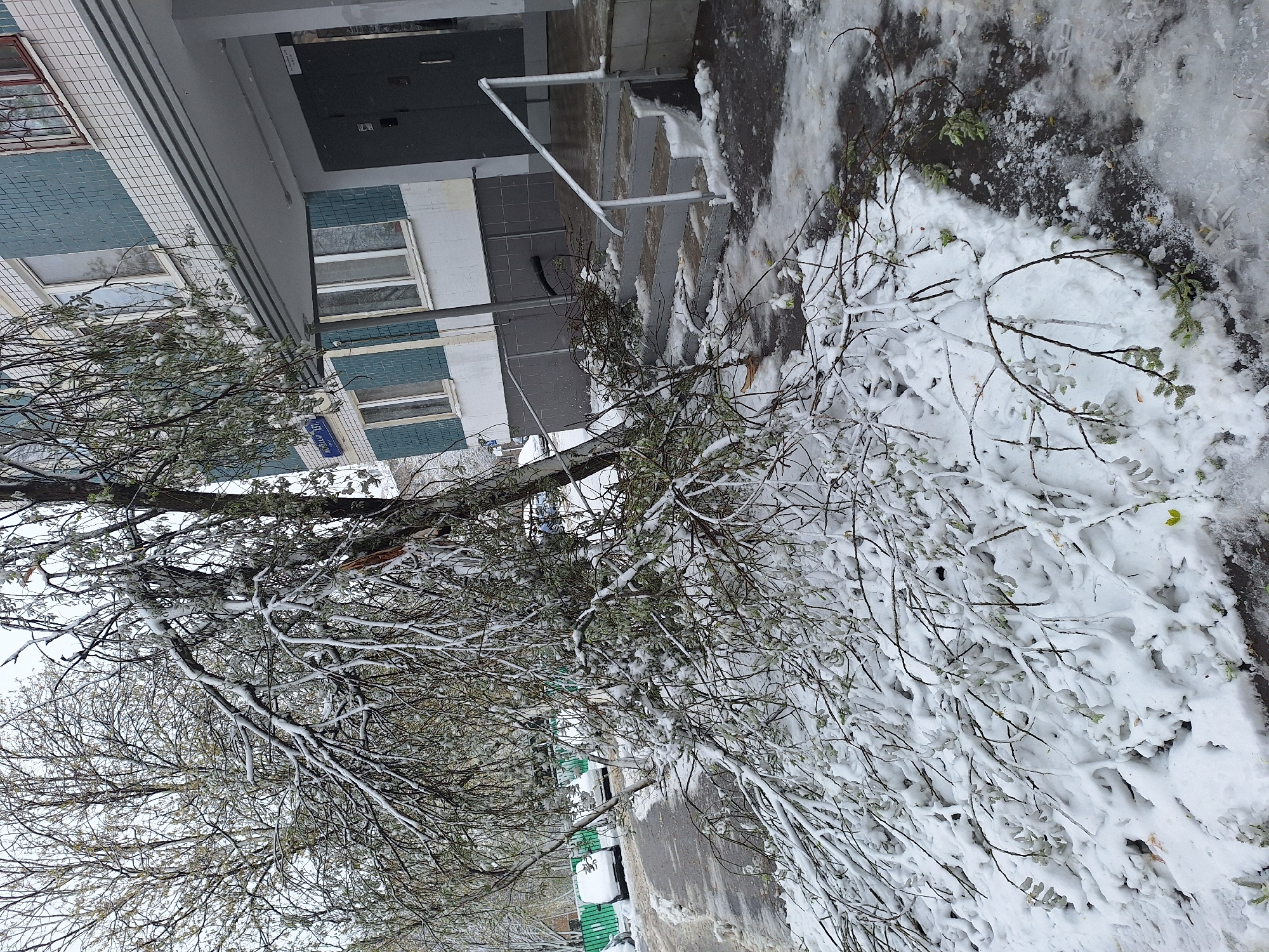 Heavy snowfall covers Moscow buildings and streets Monday morning
