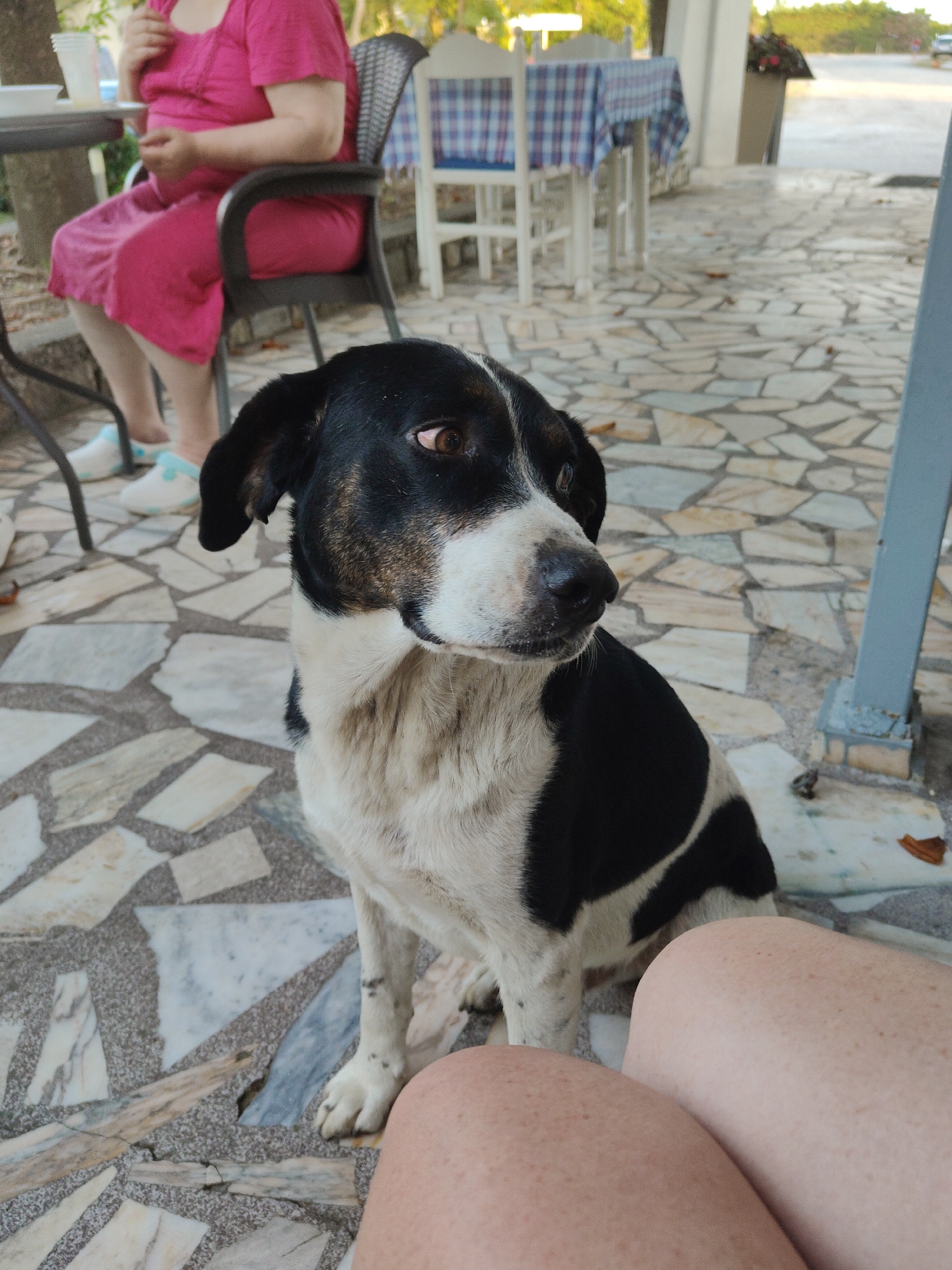 Patio lunch and coastal flora in northern Greece