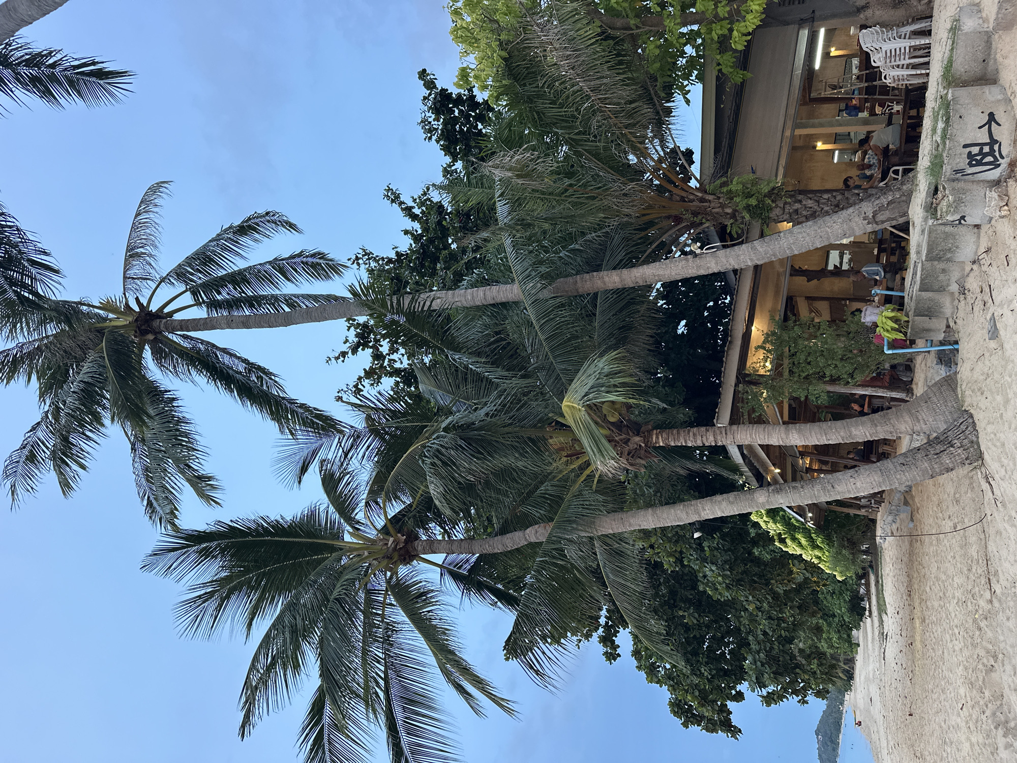 Golden hour on a Ko Samui beach, fishing boats and palm trees