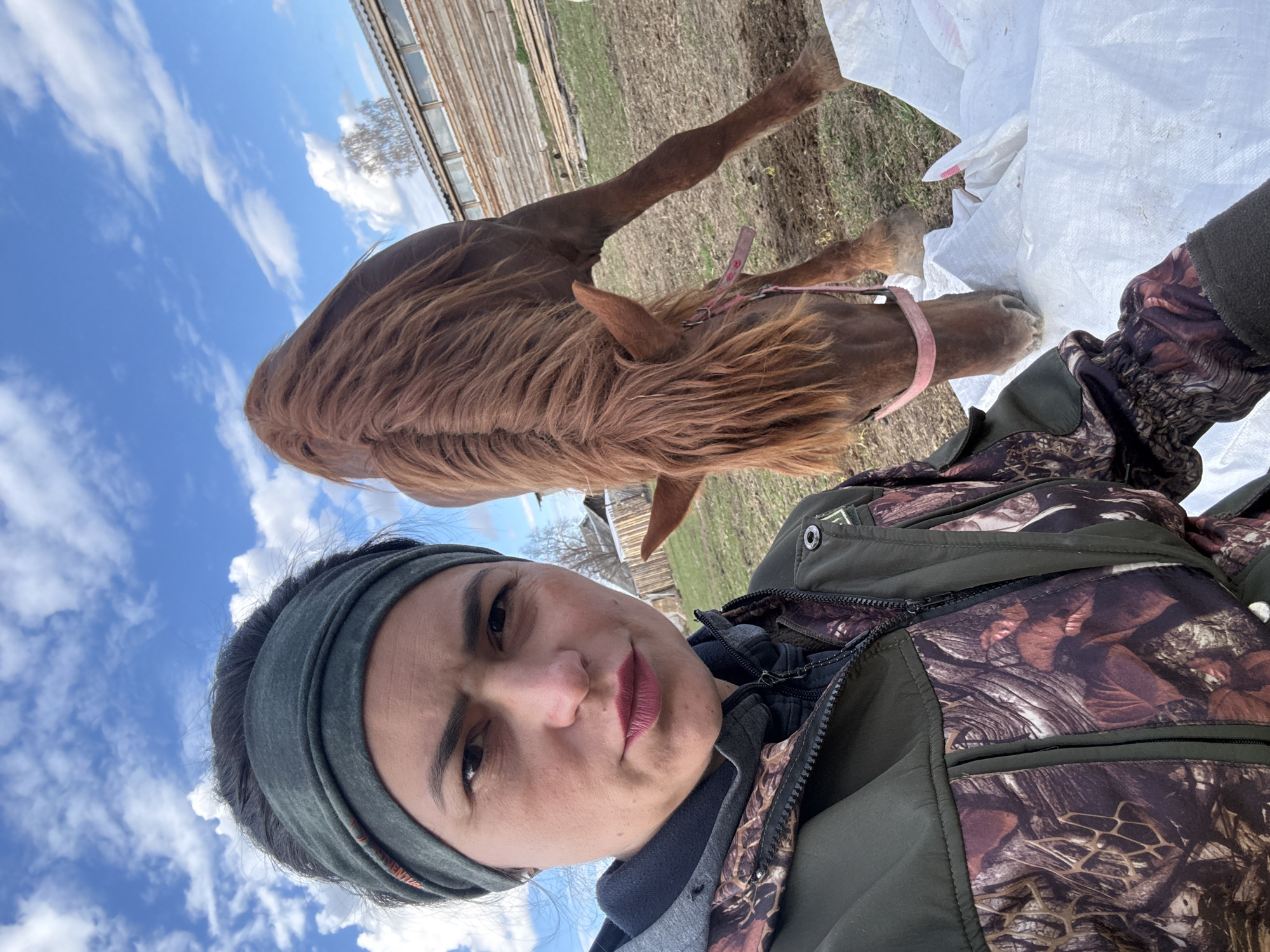 Woman documents horse interactions in rural Russian field