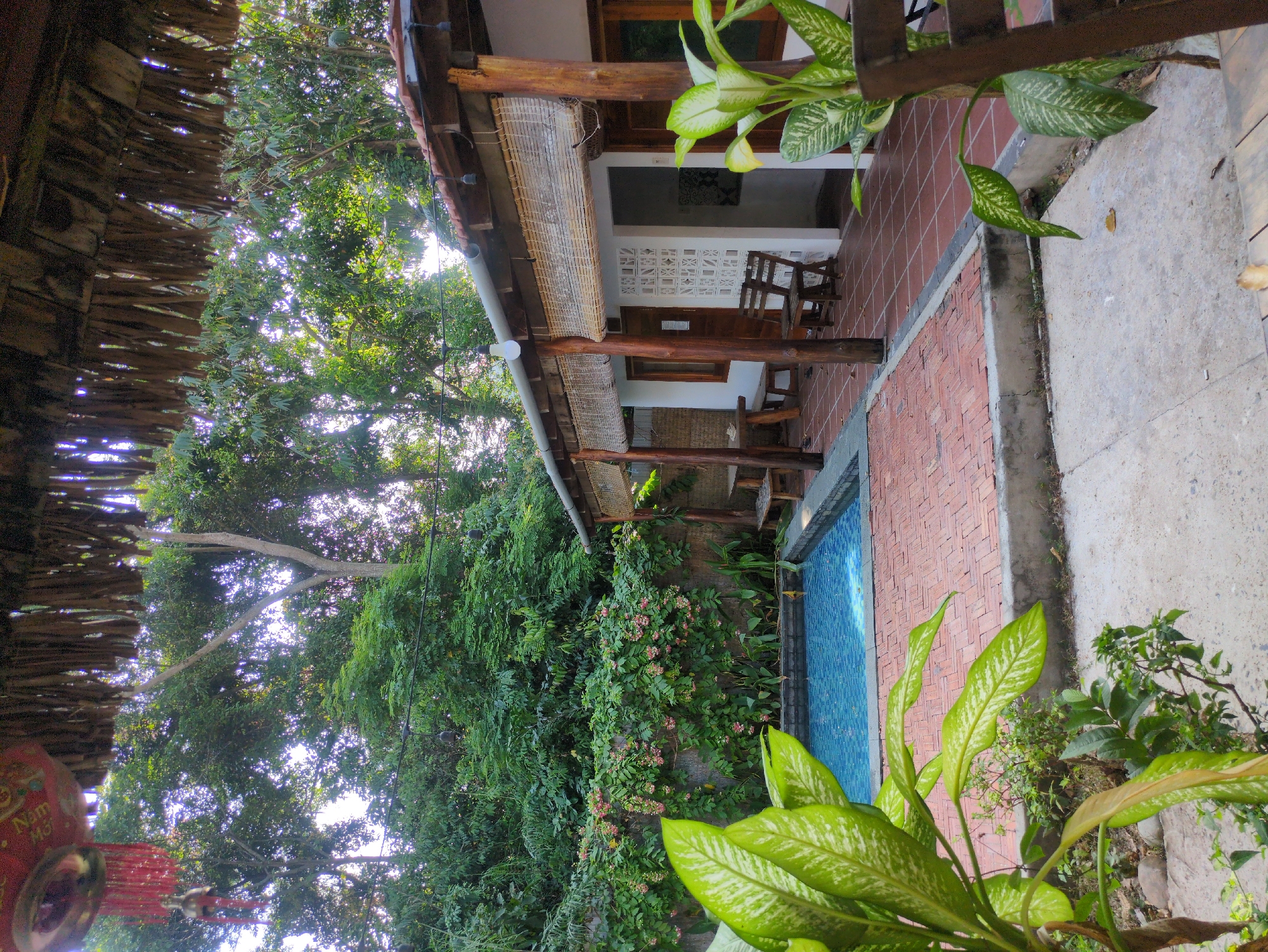 Resort scene with pool observed under thatched roof