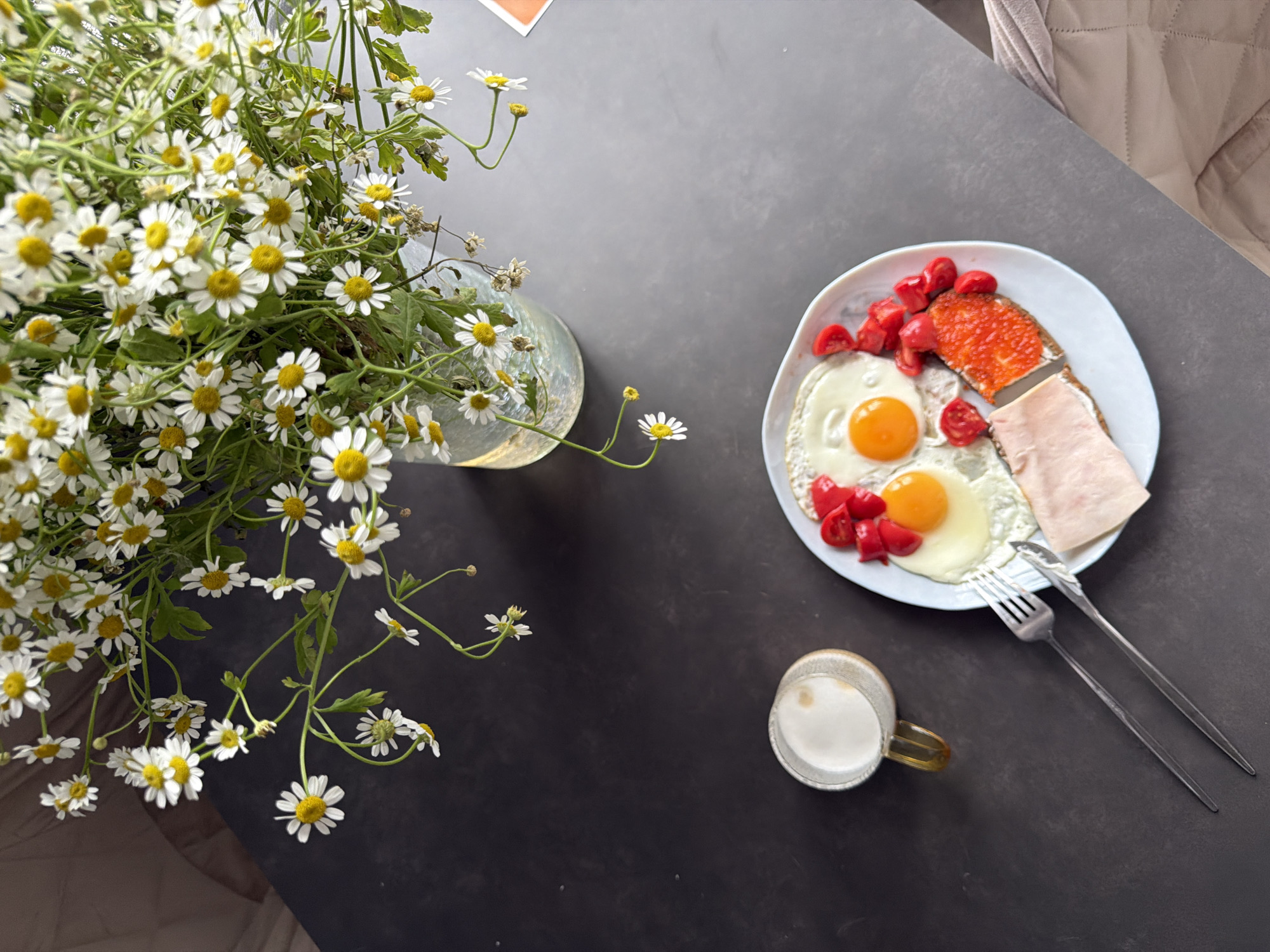 Morning moments: flowers and cat companionship at home