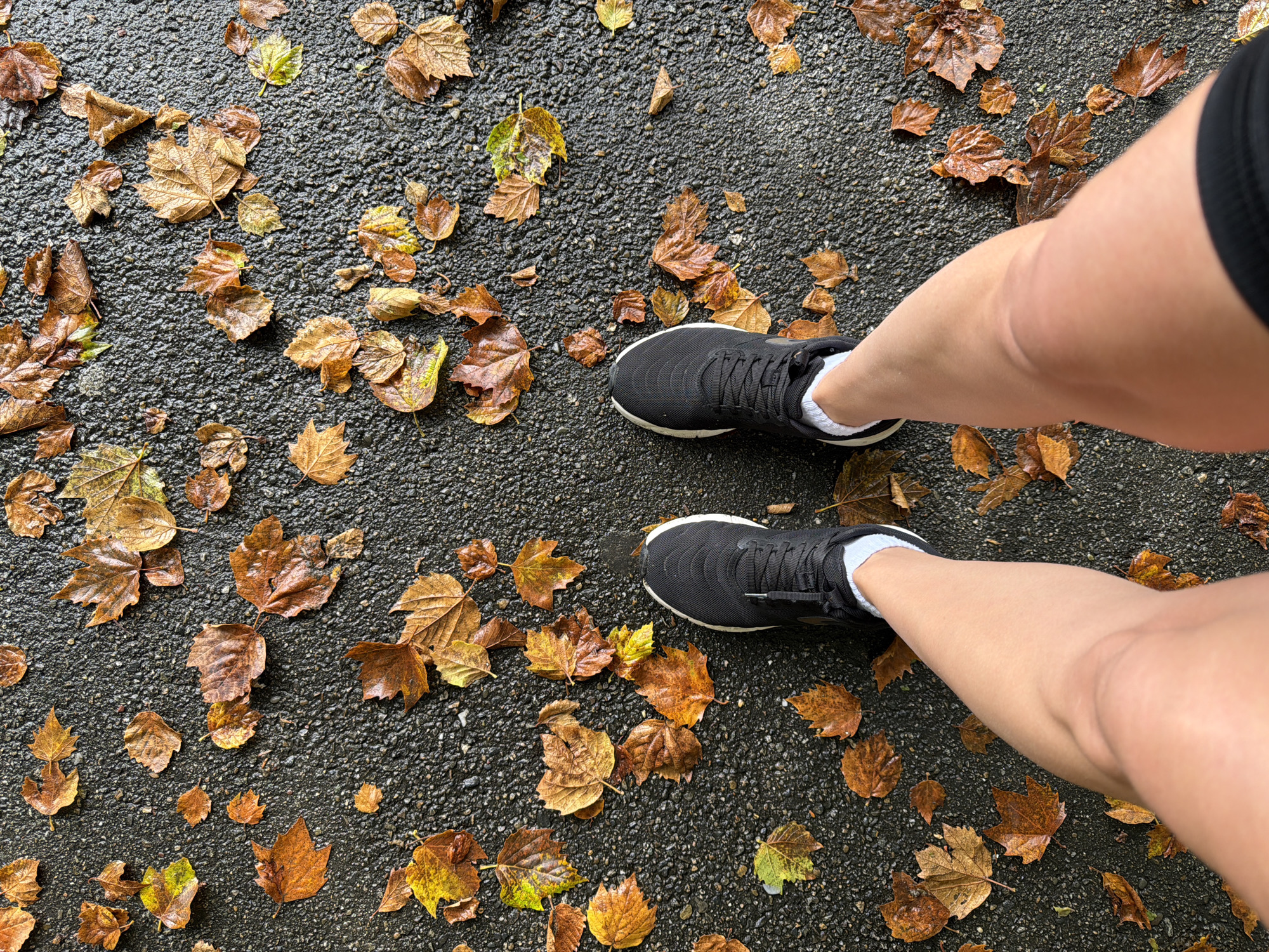 Autumn leaves on wet Sochi pavement, quick selfie stop