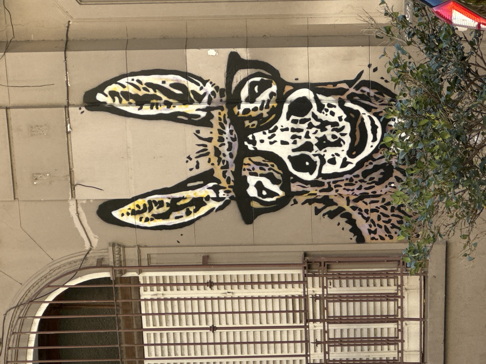 Street scenes documented along Buenos Aires neighborhood including murals, shops