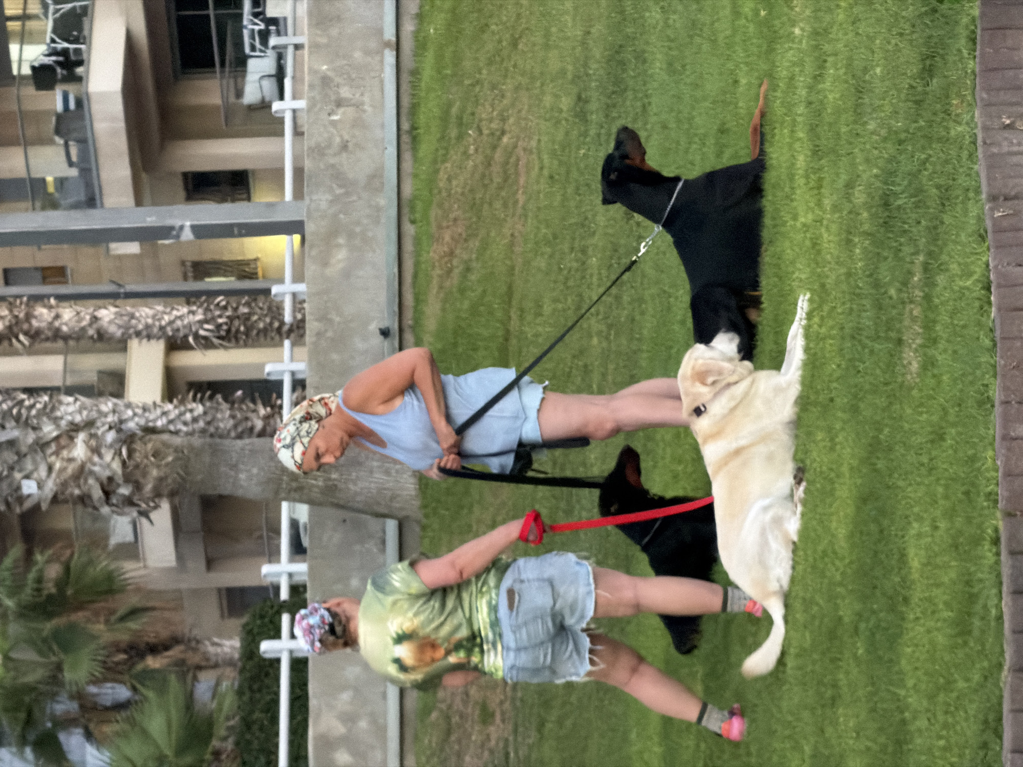 Afternoon hang on the Bat Yam waterfront, dogs and all