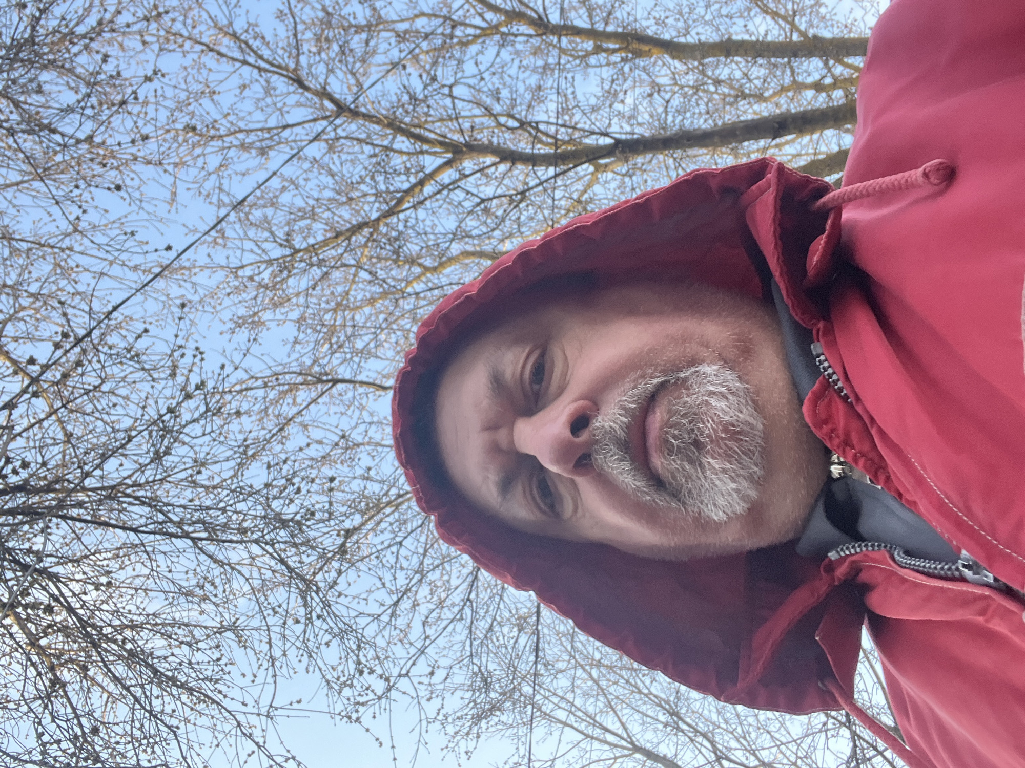 Early morning dog walk captured in Podolsk park