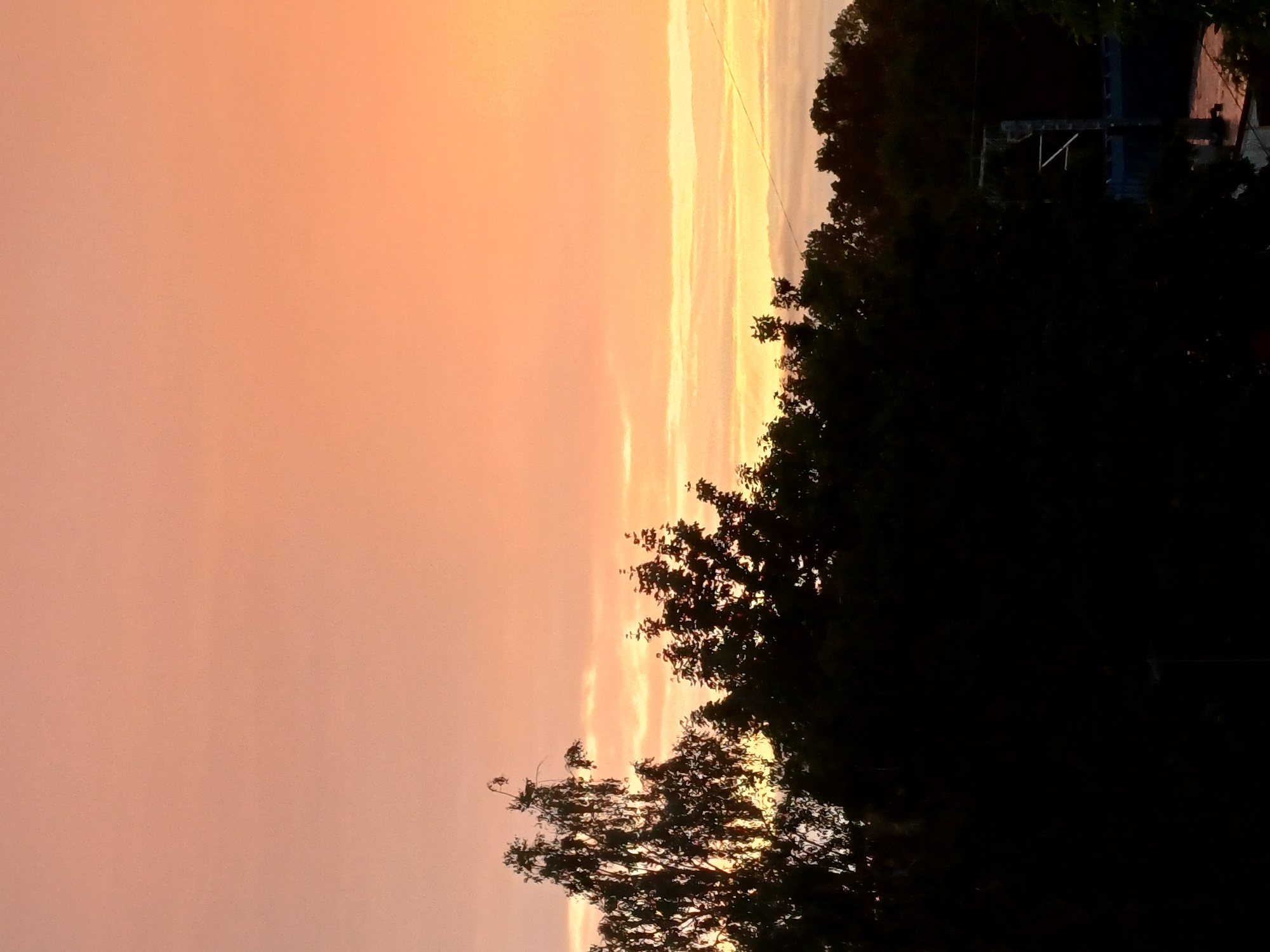 Riga sunset through the treeline, caught from multiple angles