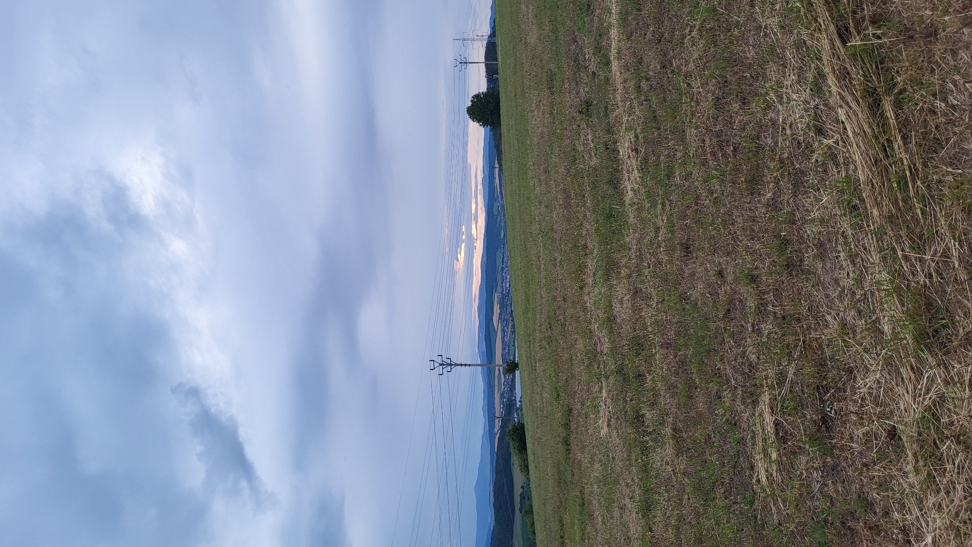 Evening wander through Prešov's forest edges and hillside meadows