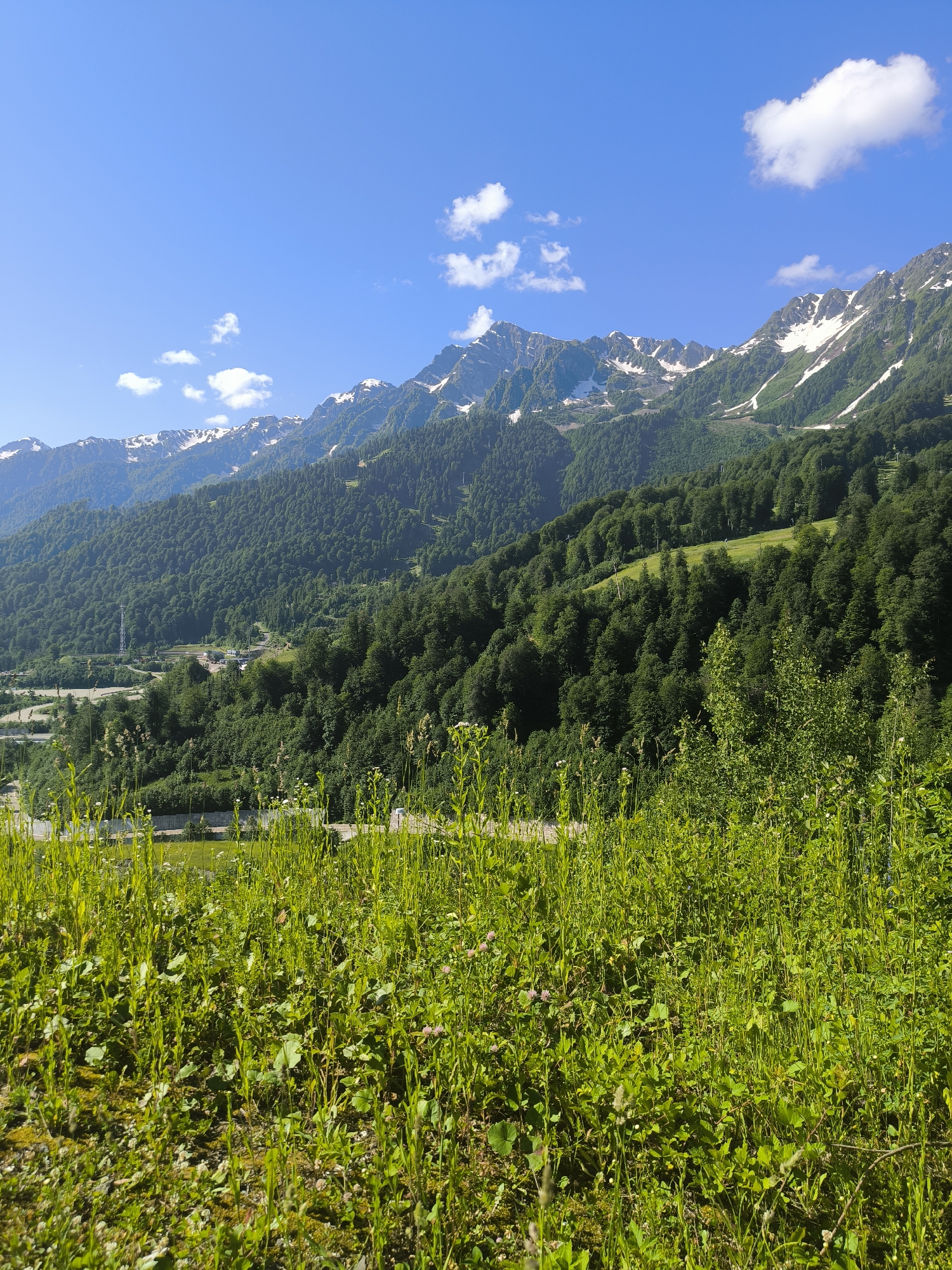 Estosadok mountain scenery: meadows, streams, and alpine roads