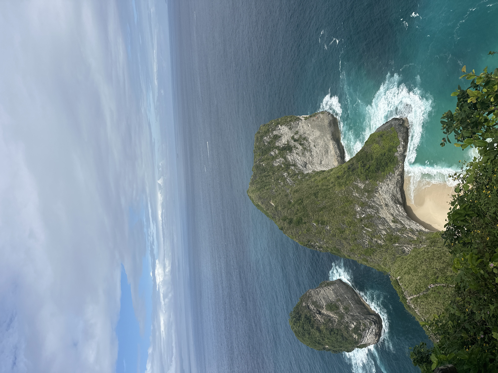 Monkeys spotted at Kelingking Beach viewpoint, Nusa Penida