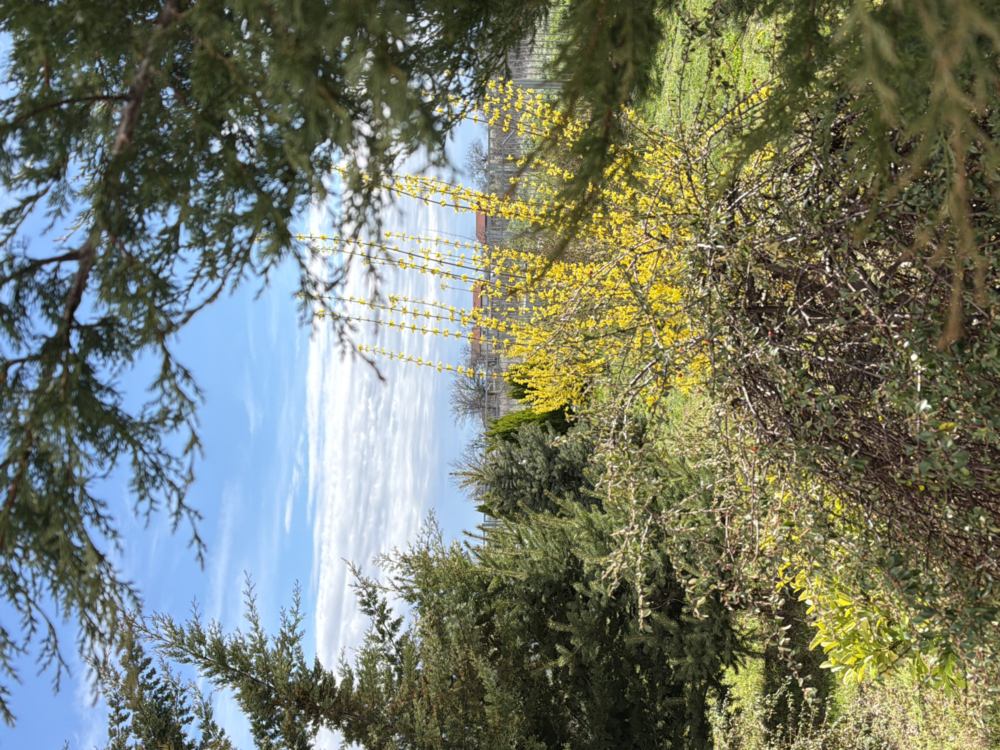 Man photographed outdoors amid spring scenery in Markovo, Bulgaria