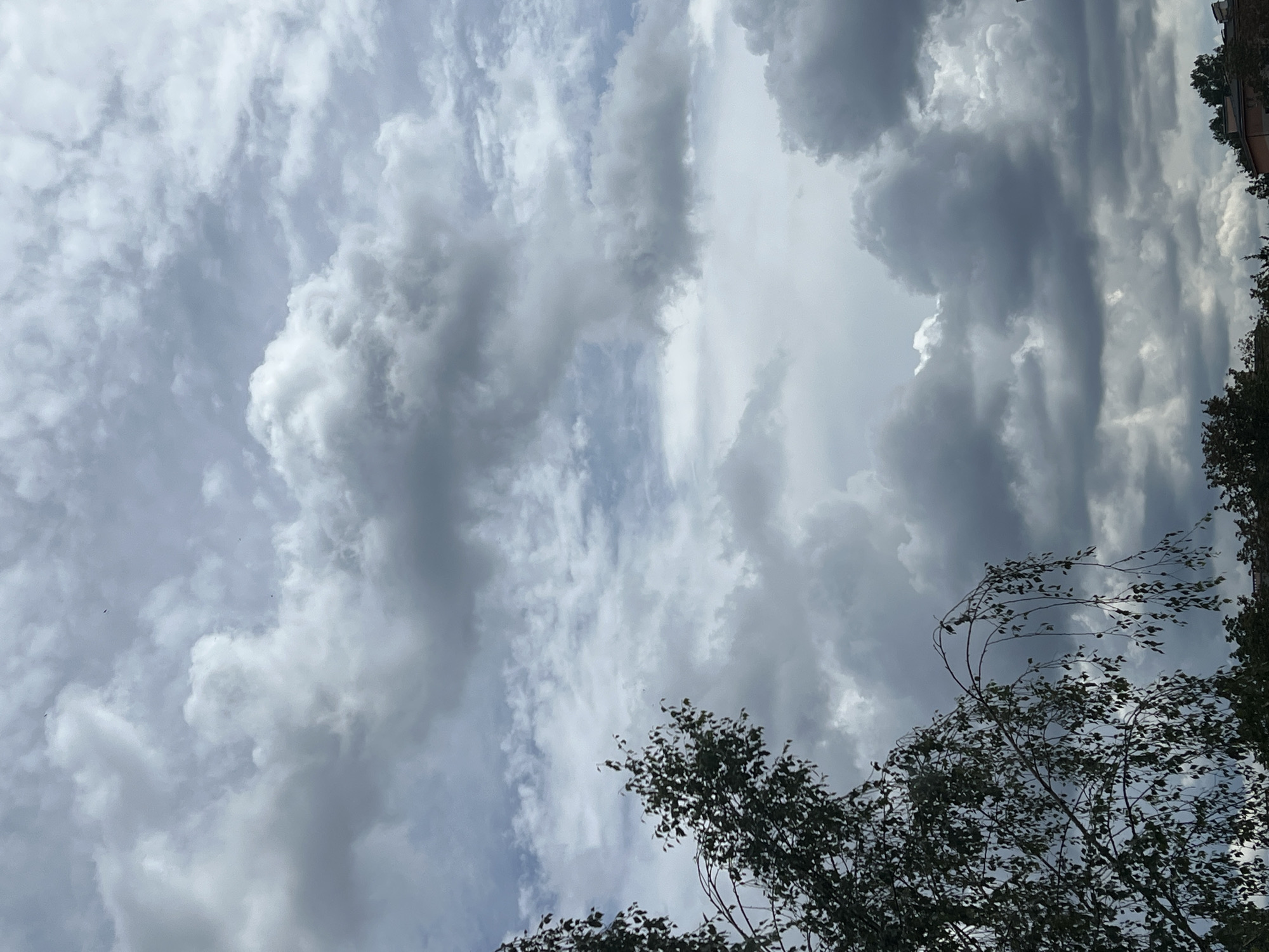 Warsaw storm rolls in, butterflies and rain-soaked windows