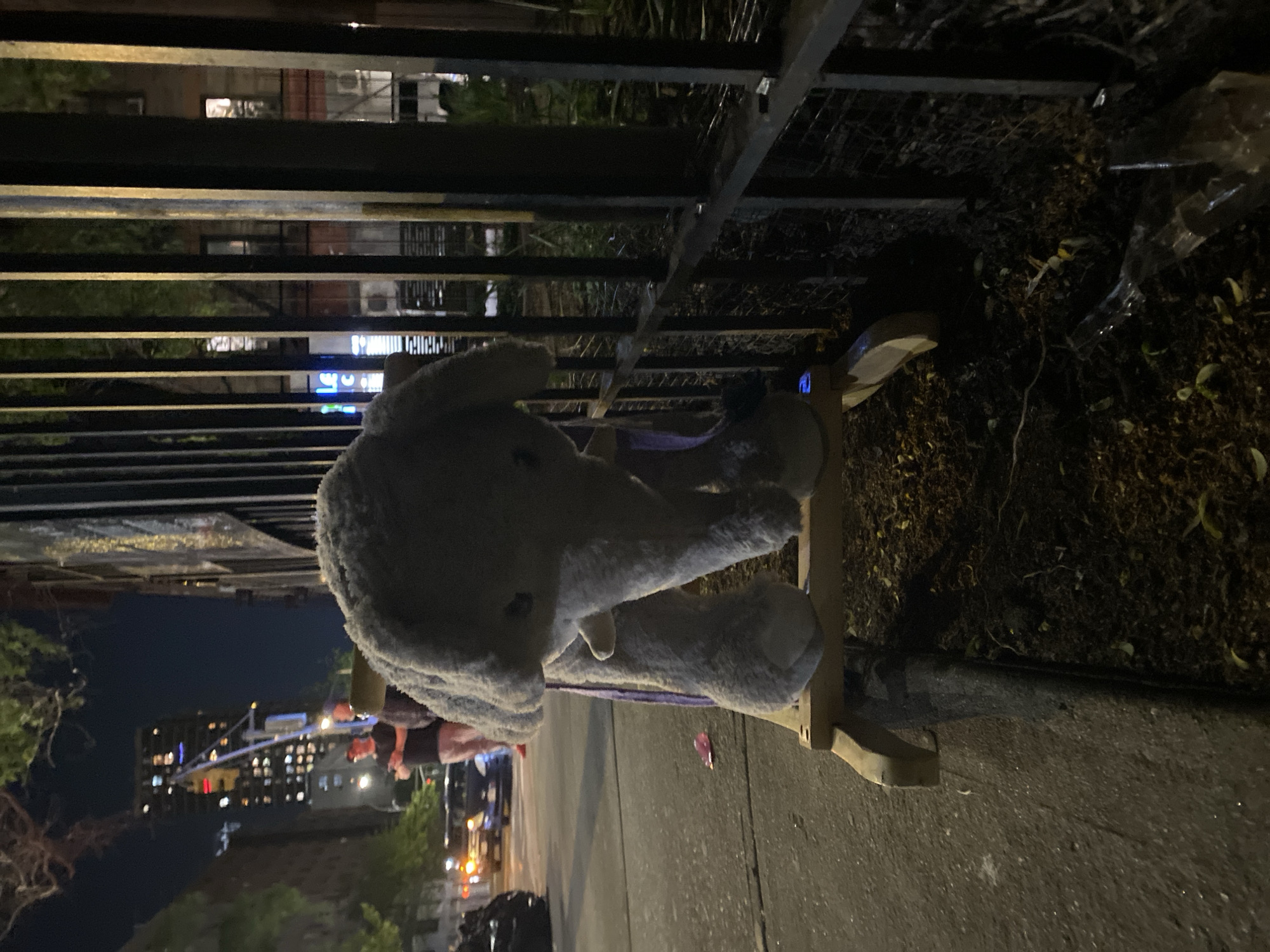 Rocking horse spotted on NYC sidewalk at night