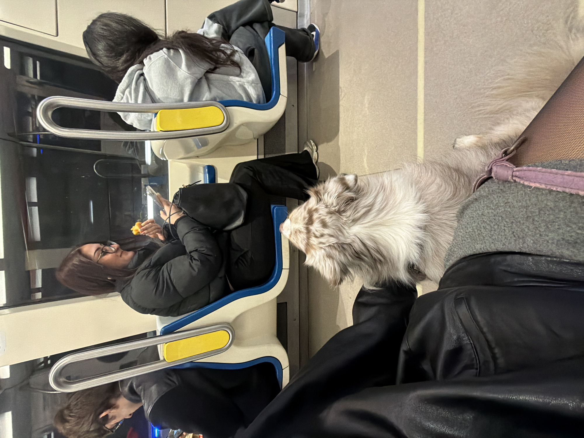 Light ridership observed on Montreal Metro Blue Line Friday afternoon