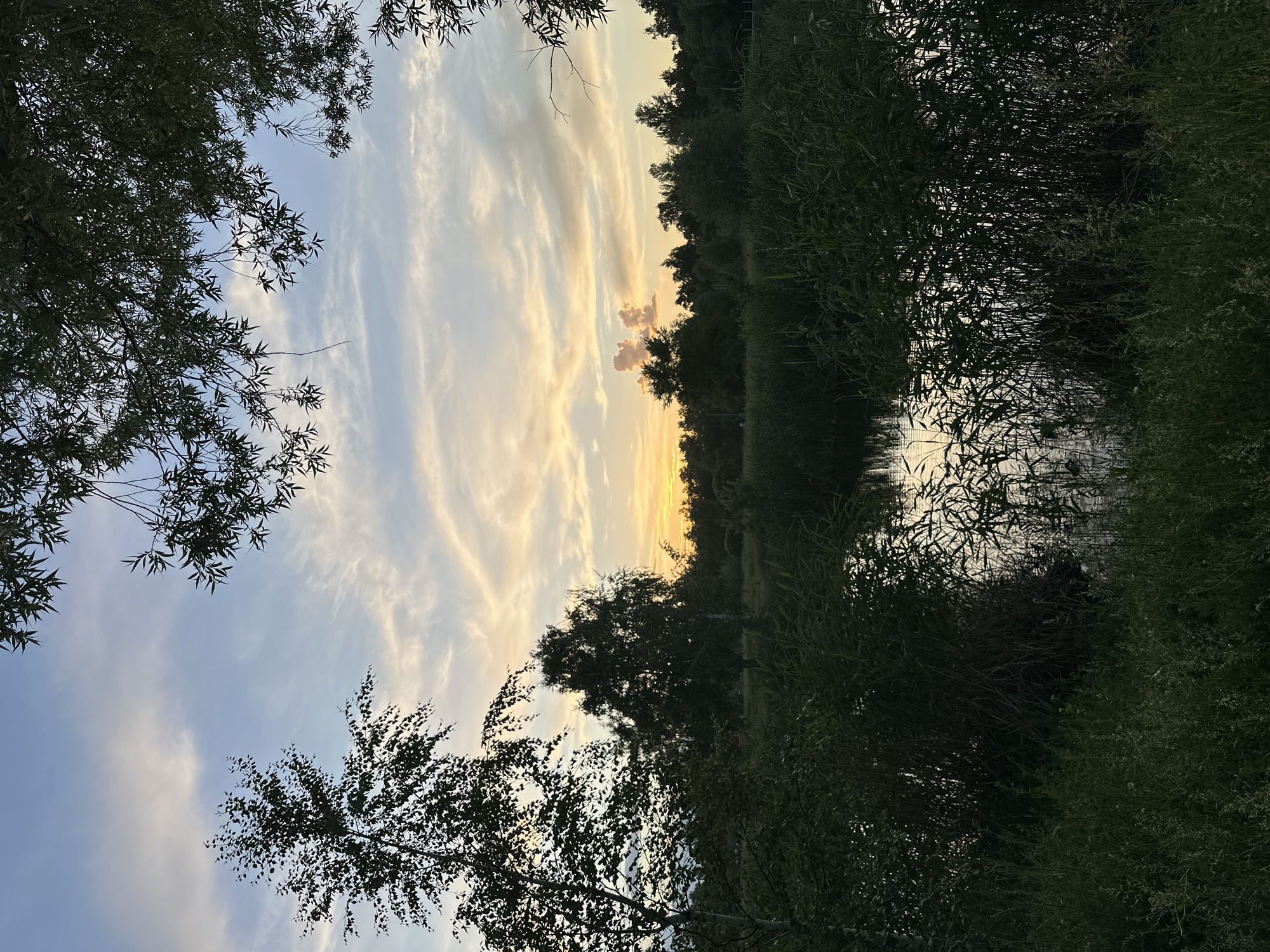Peaceful sunset documented along Omsk riverbank with swimming ducks