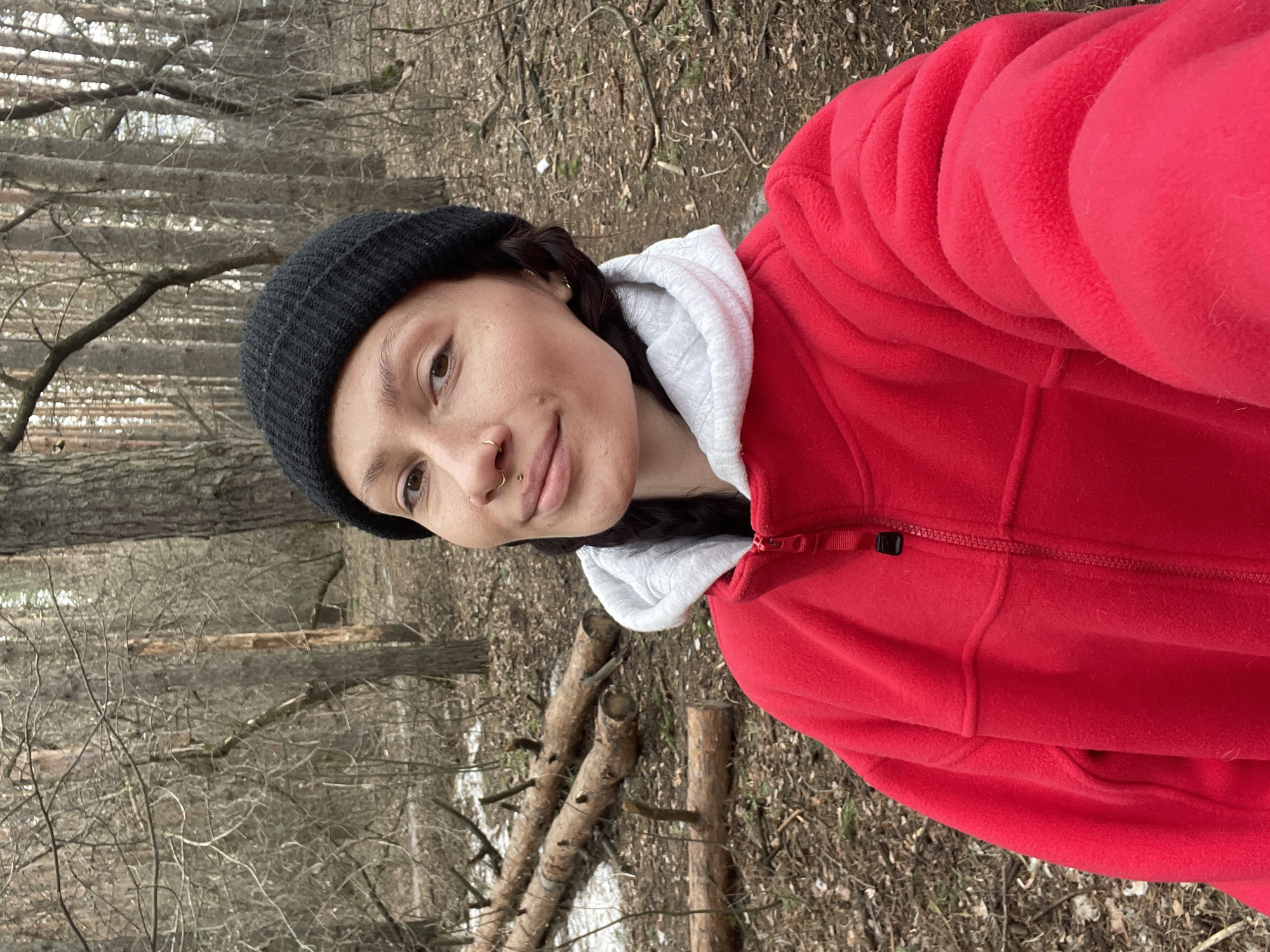Morning dog walk observed in Izhevsk forest