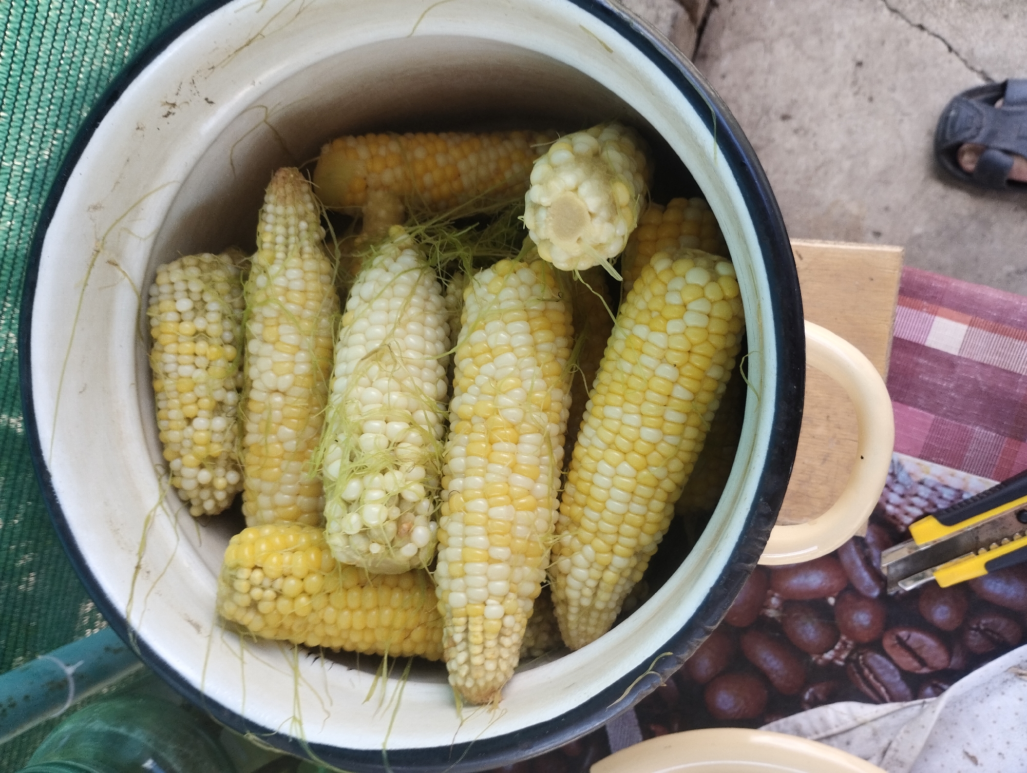 Handmade toys and fresh corn in a Smila garden