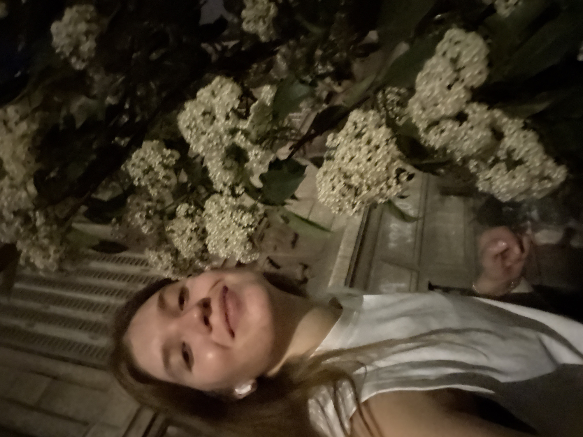 Evening scenes documented across Belgrade neighborhoods
