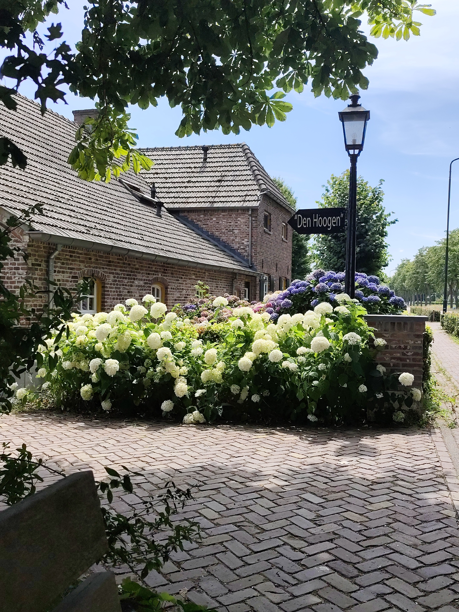 Reek, Netherlands