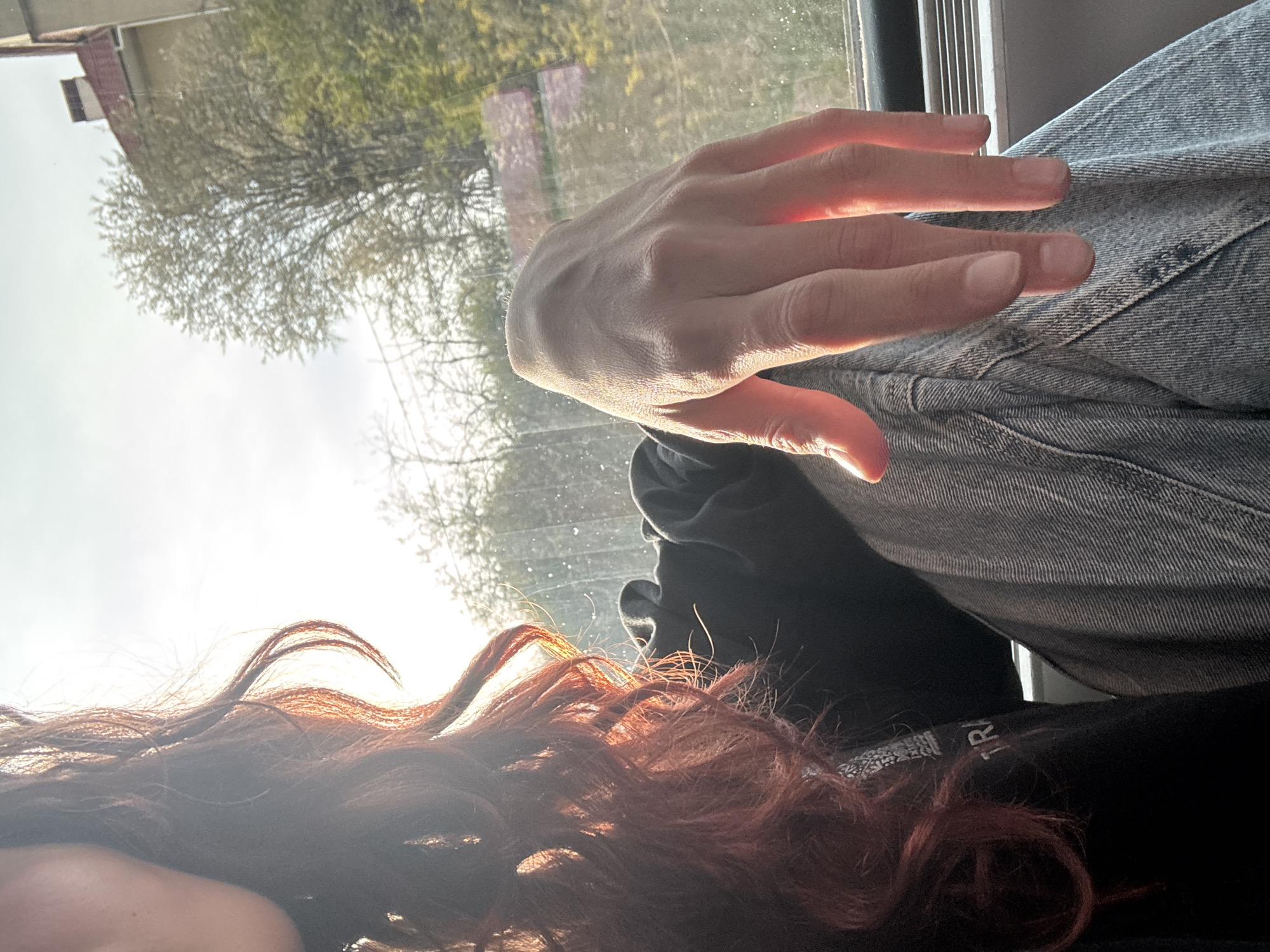 Train passenger journeys through countryside landscape during afternoon hours