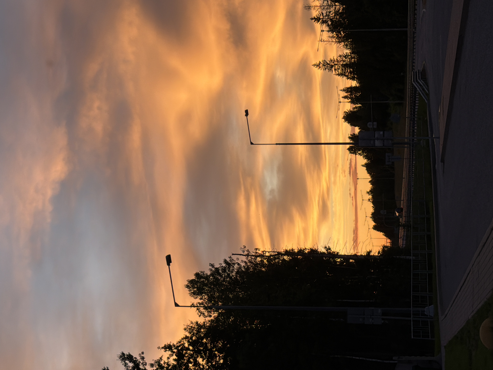 Vivid twilight sky glows above a silhouetted treeline