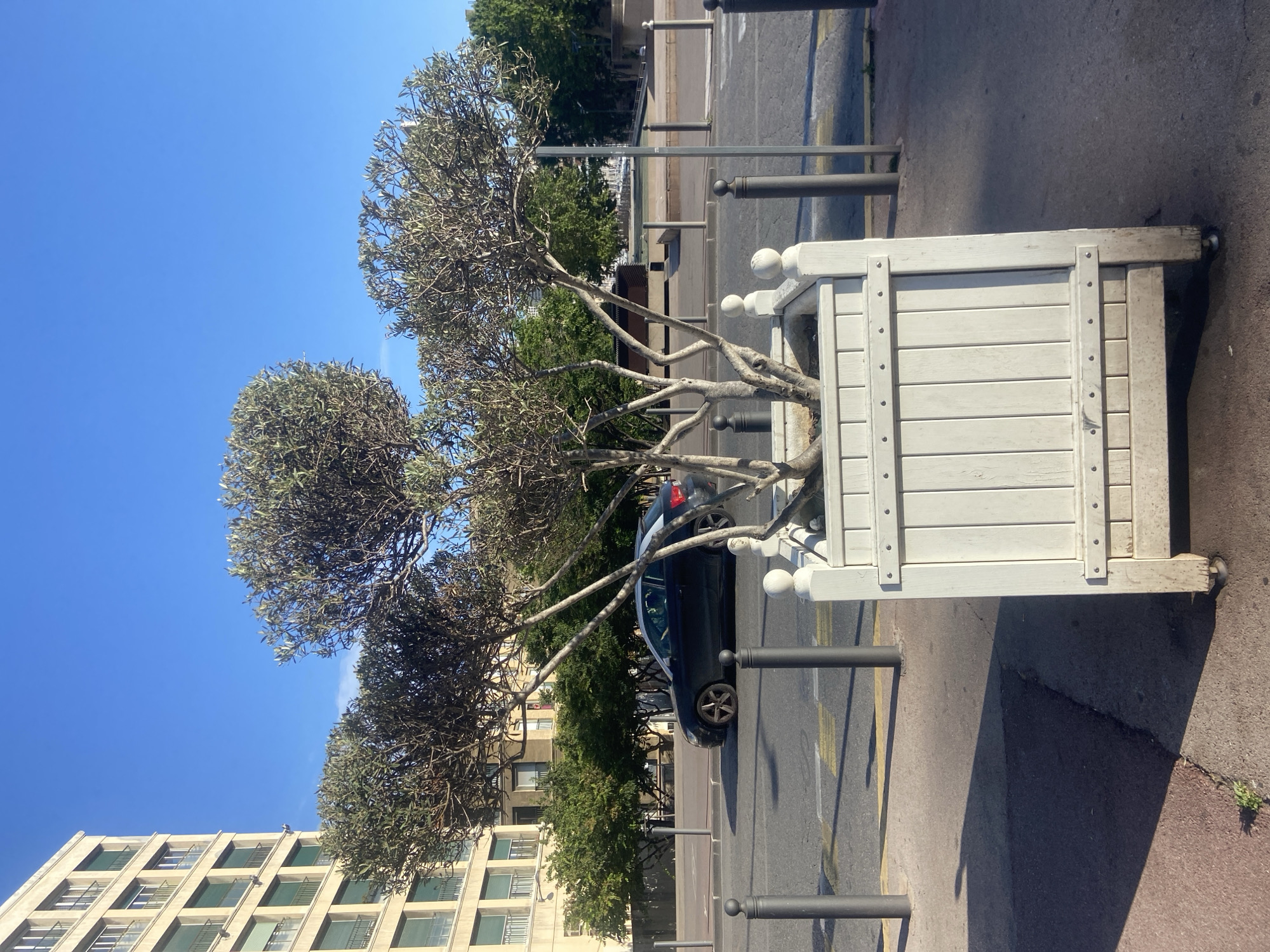 Witnesses document Mediterranean waterfront district with marina and architecture