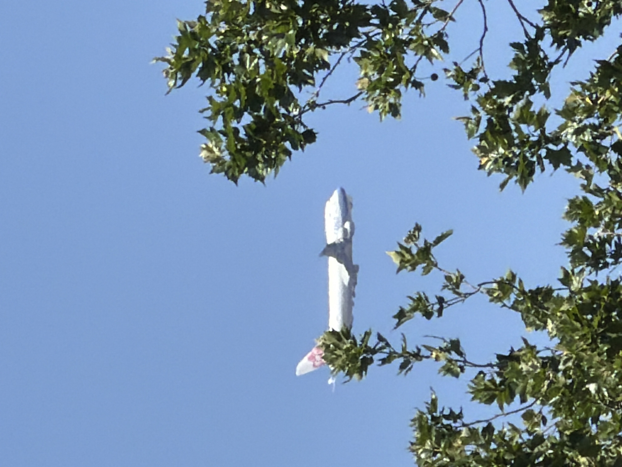 Pink-emblemed jet crosses a clear blue sky over Luxembourg