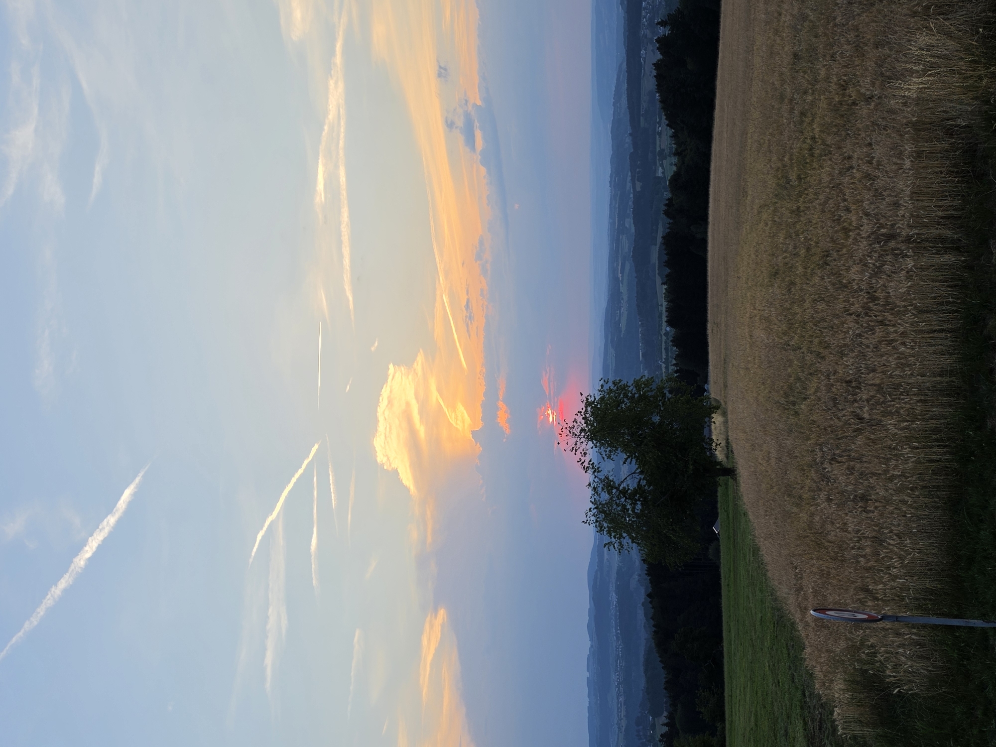 Sunset over wheat fields in rural St. Gallen