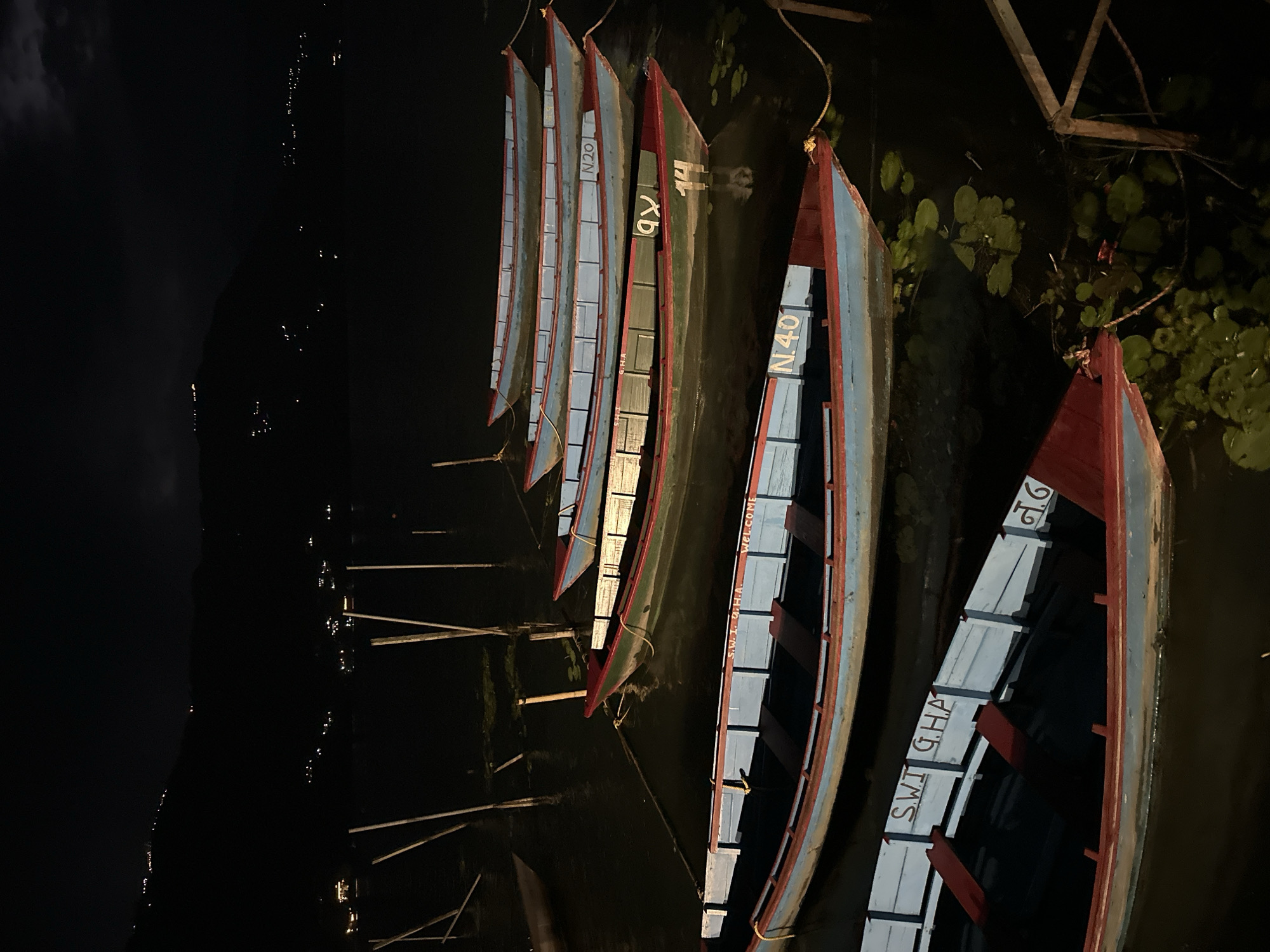Colorful boats docked at Phewa Lake, Pokhara at night