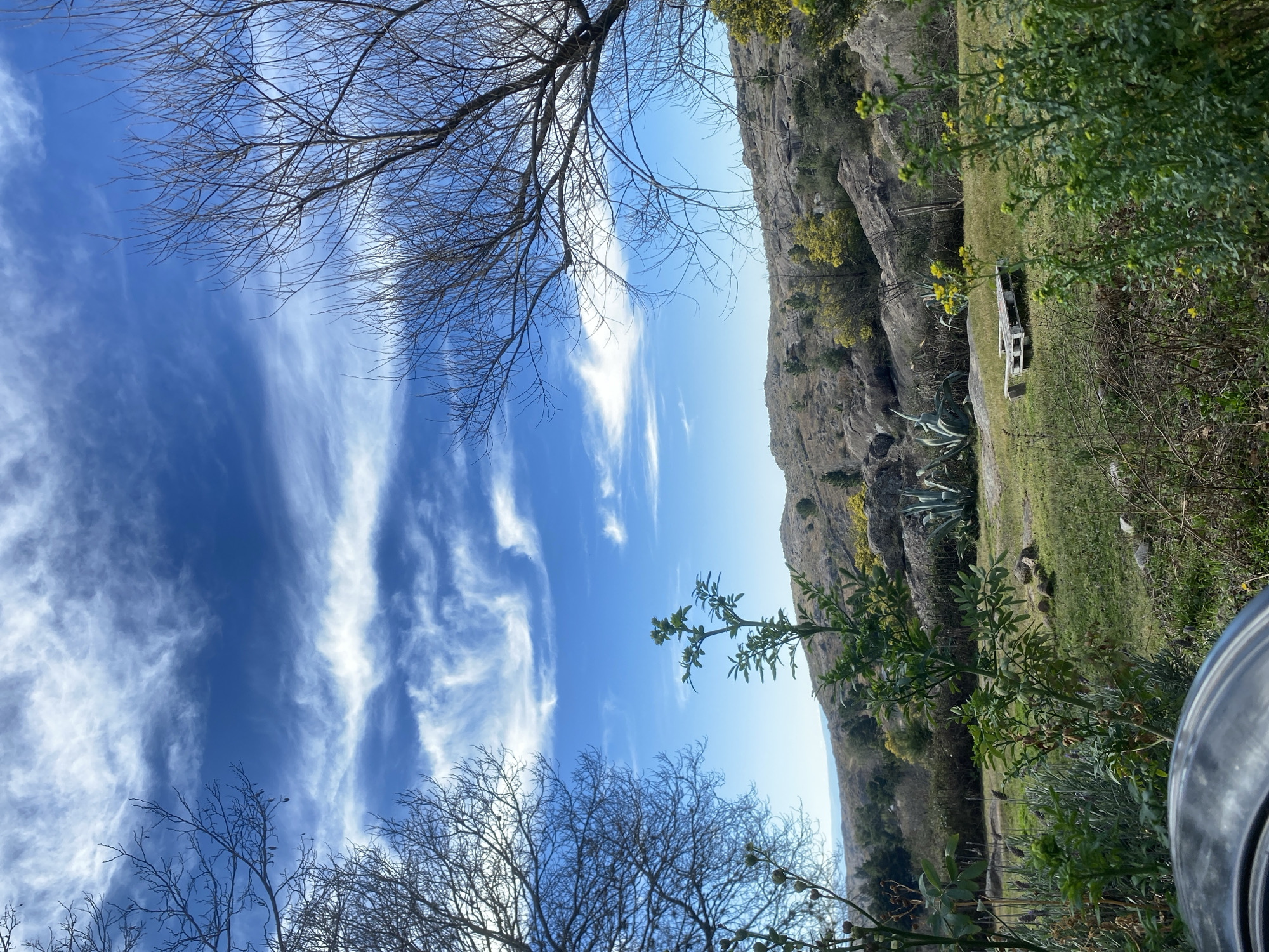 Lazy afternoon at a rural Argentine property