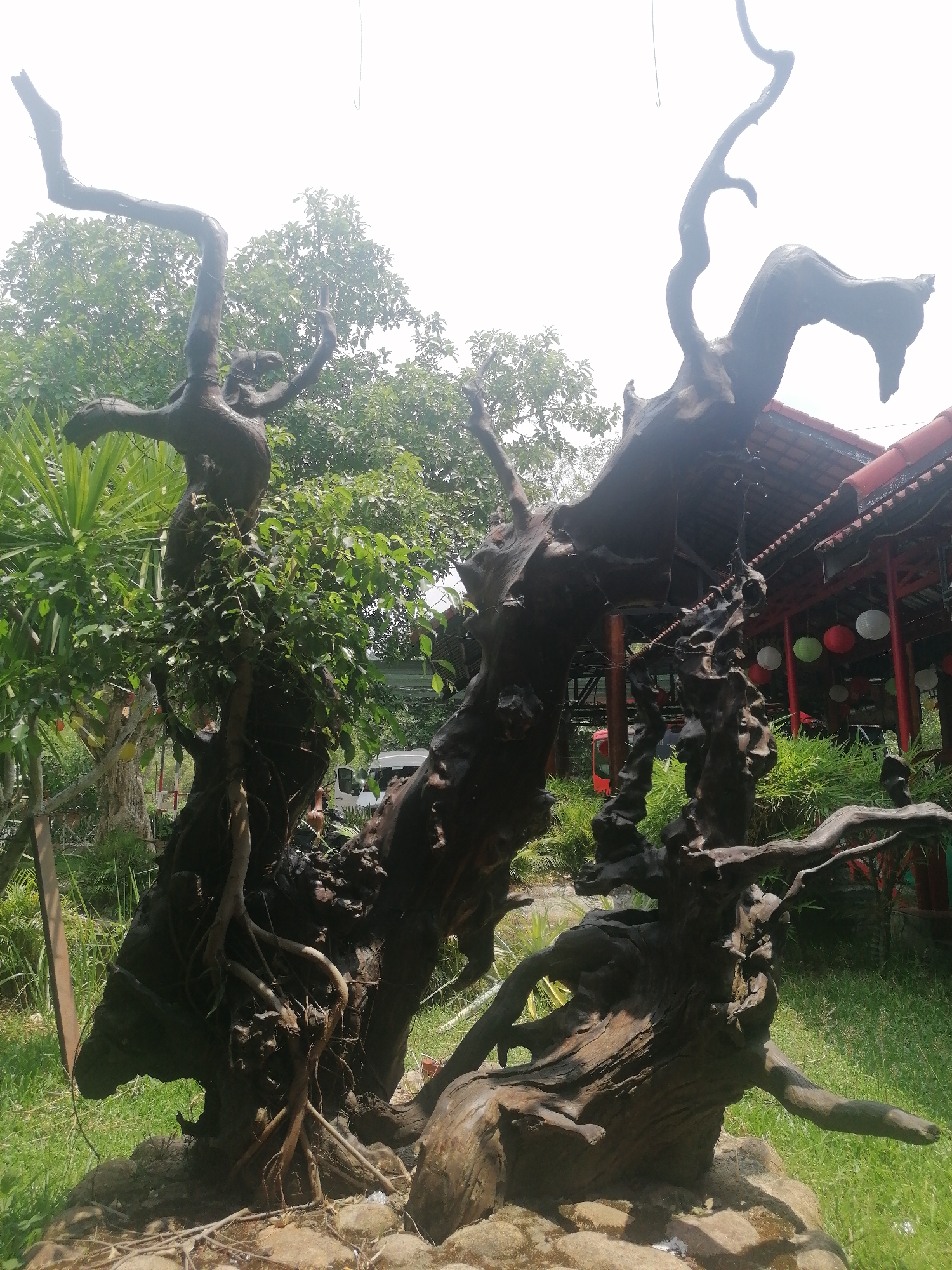 Tourist documents park attractions and restaurant in Nam Khanh Vinh