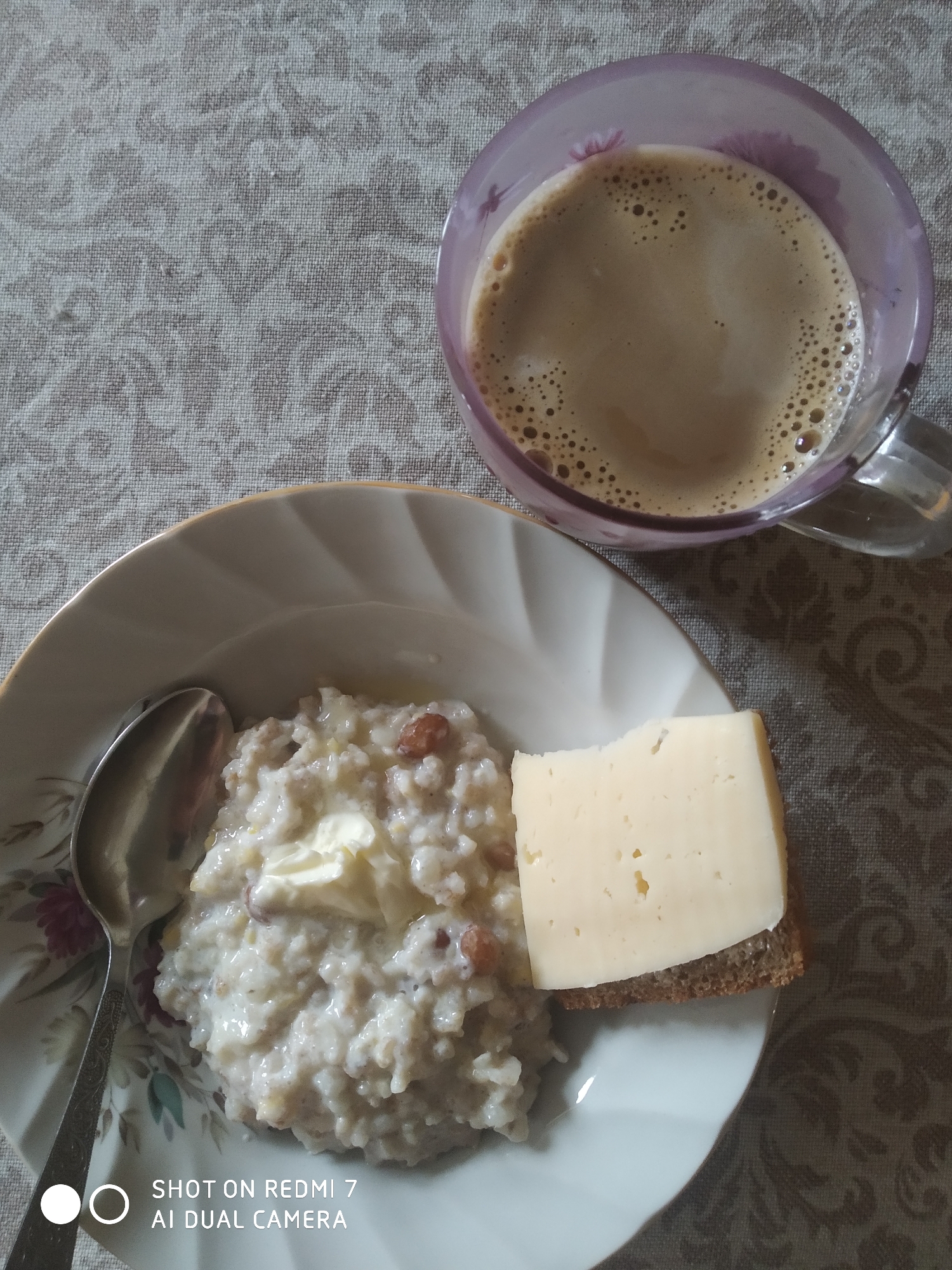 Cat shares chocolate ice cream during breakfast in Chaikovsky