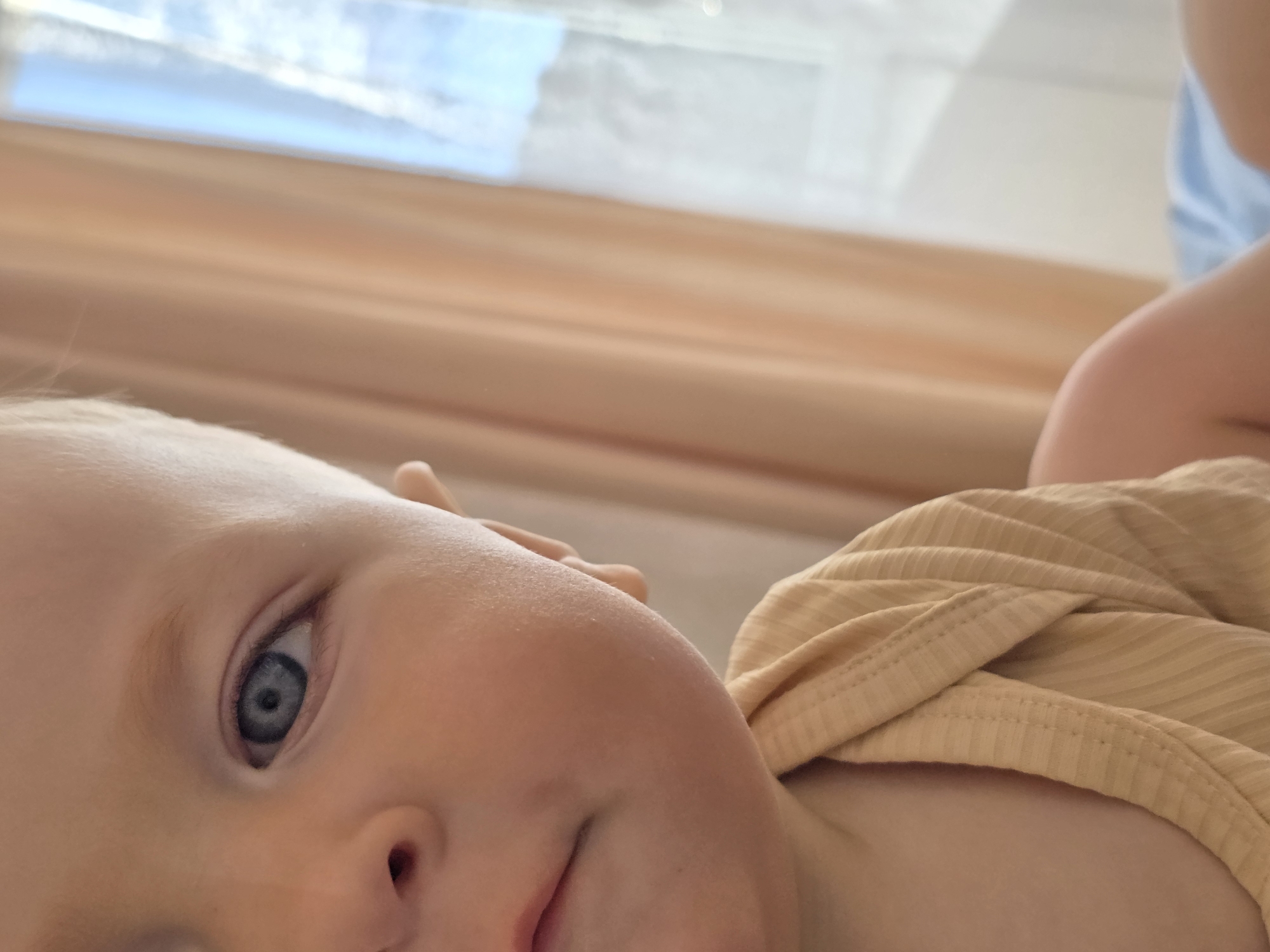 Family photos captured across Chaikovsky, Russia during morning hours