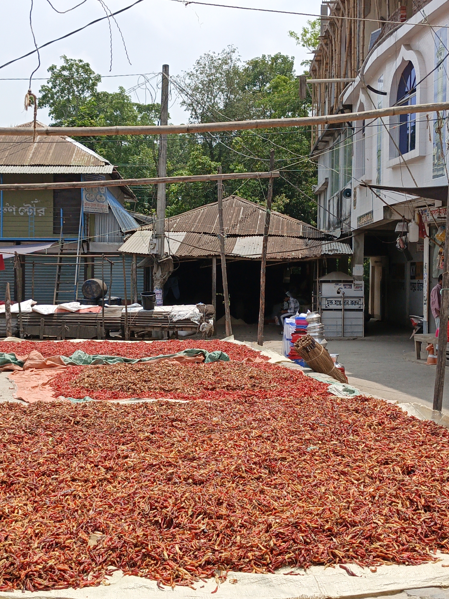 Morning street activity: chili drying, construction work in Kauria