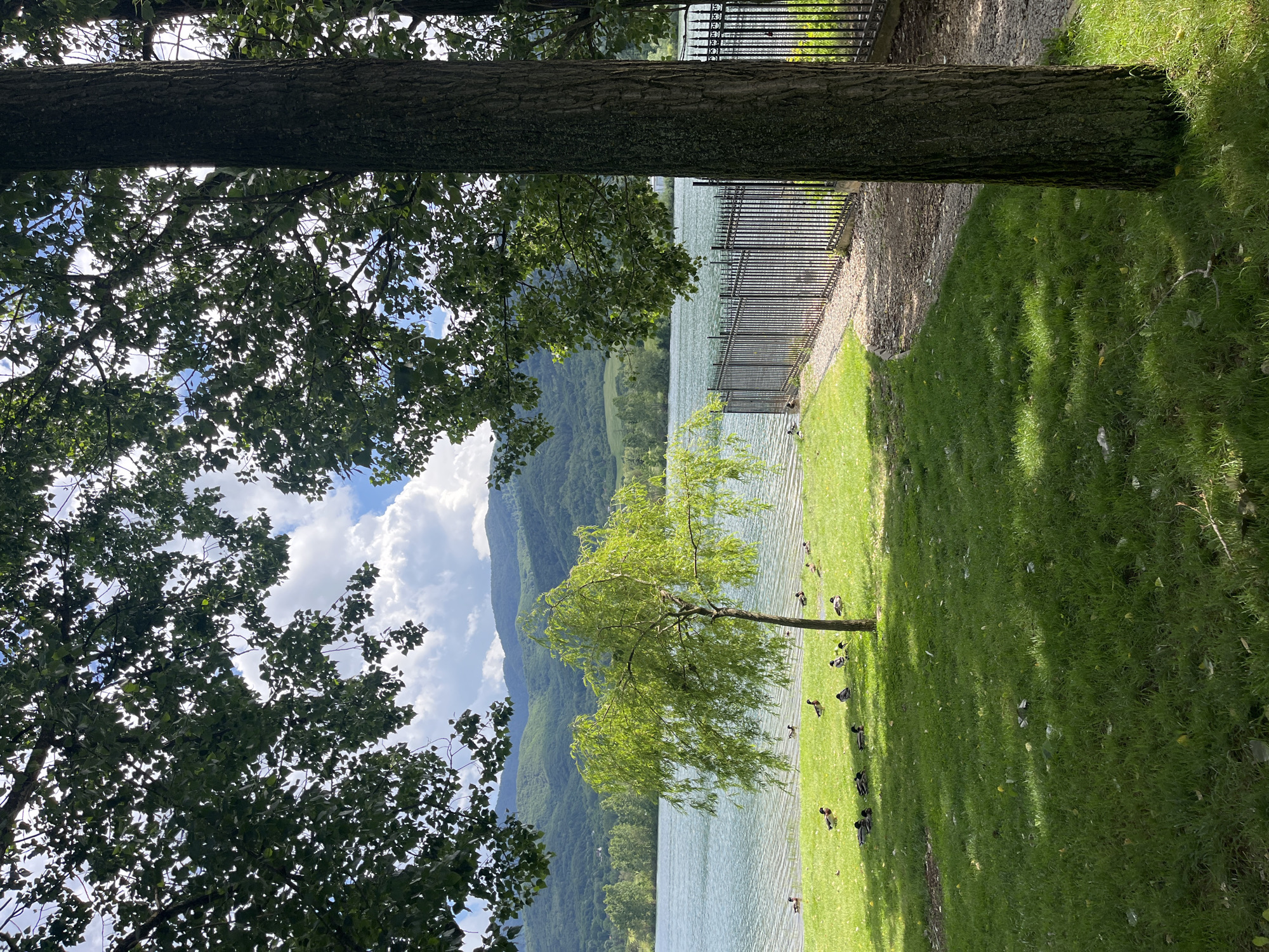 Lakeside scenery documented across Pravets and Razliv Bulgaria villages