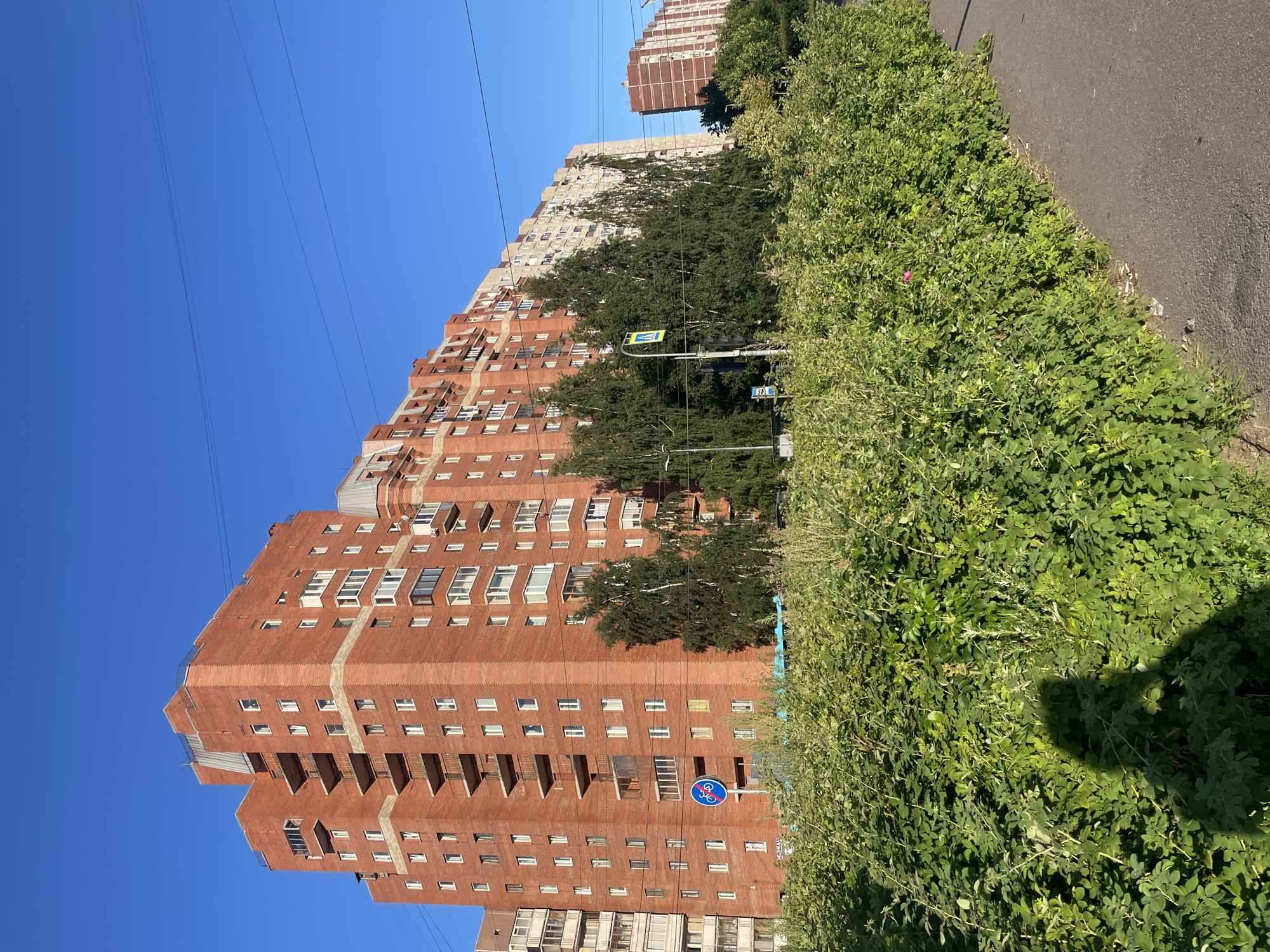 Kolpino streets and garden flowers on a sunny Saint Petersburg afternoon