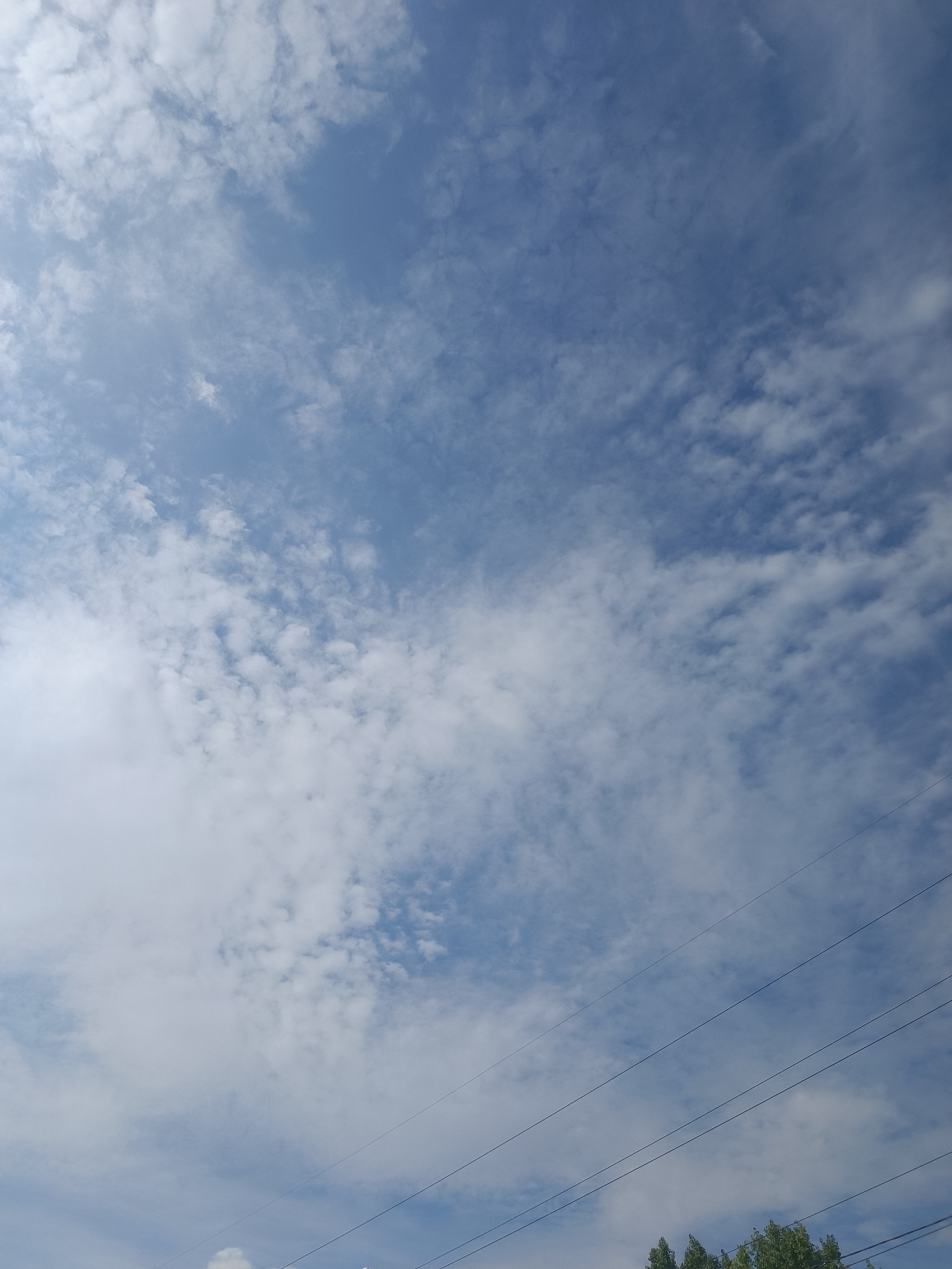 Sky-gazing series: clouds, sun, and rooftop edges