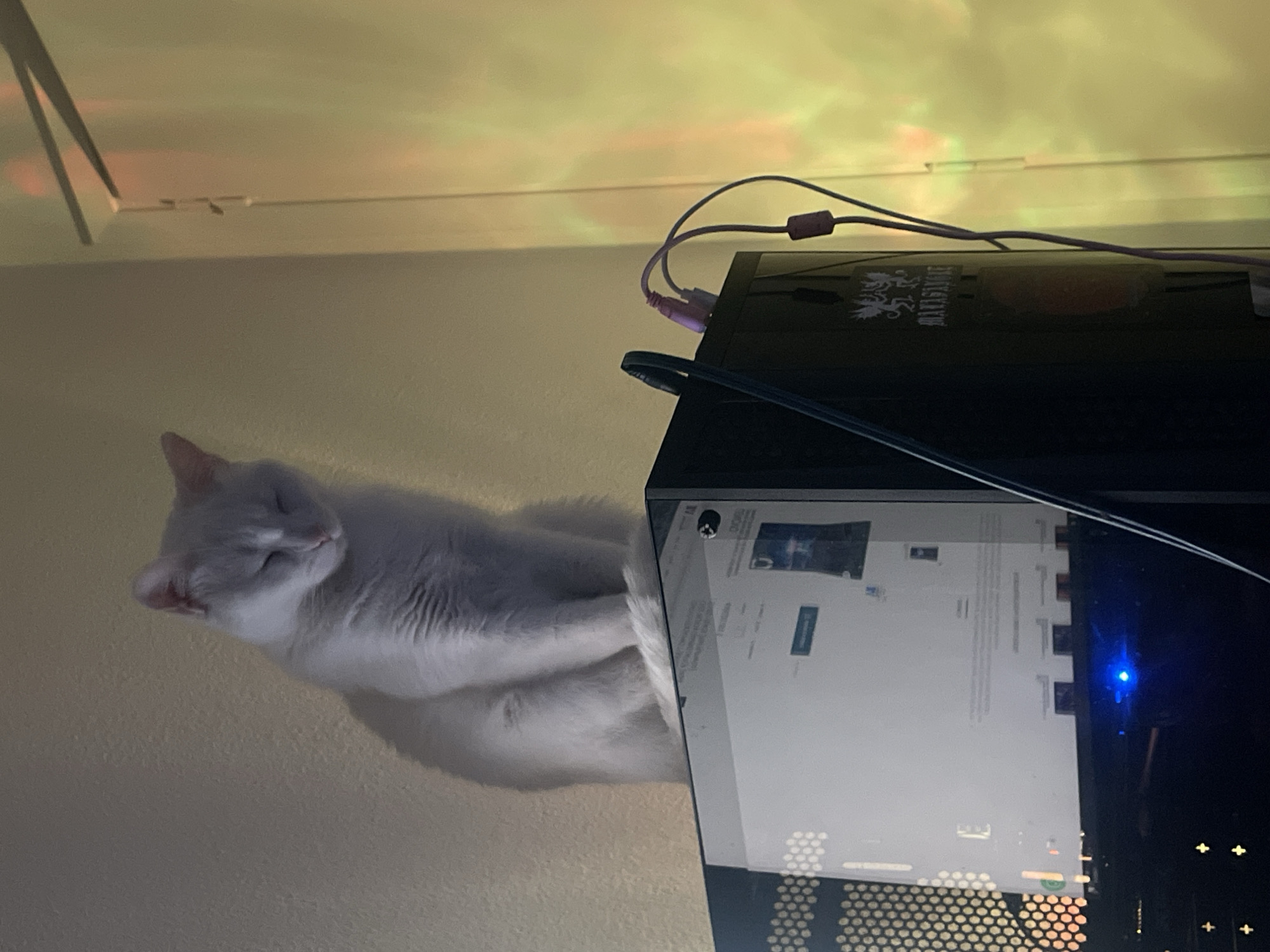 Cat naps on computer tower in Argentine home workspace