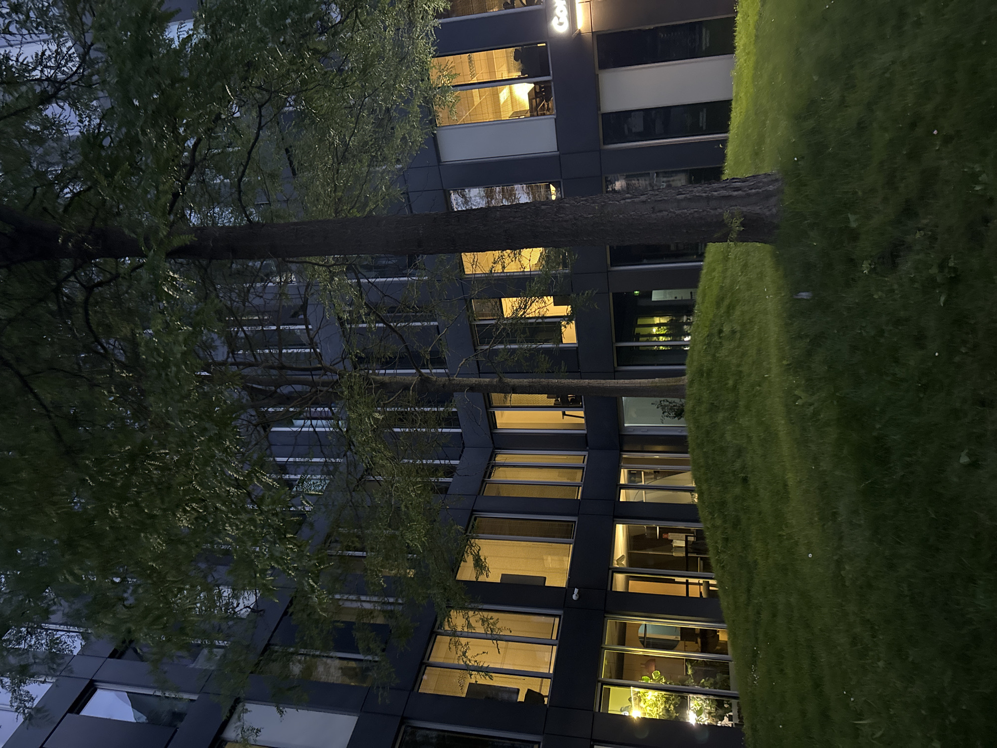 Evening hang outside a city office block, pizza in tow