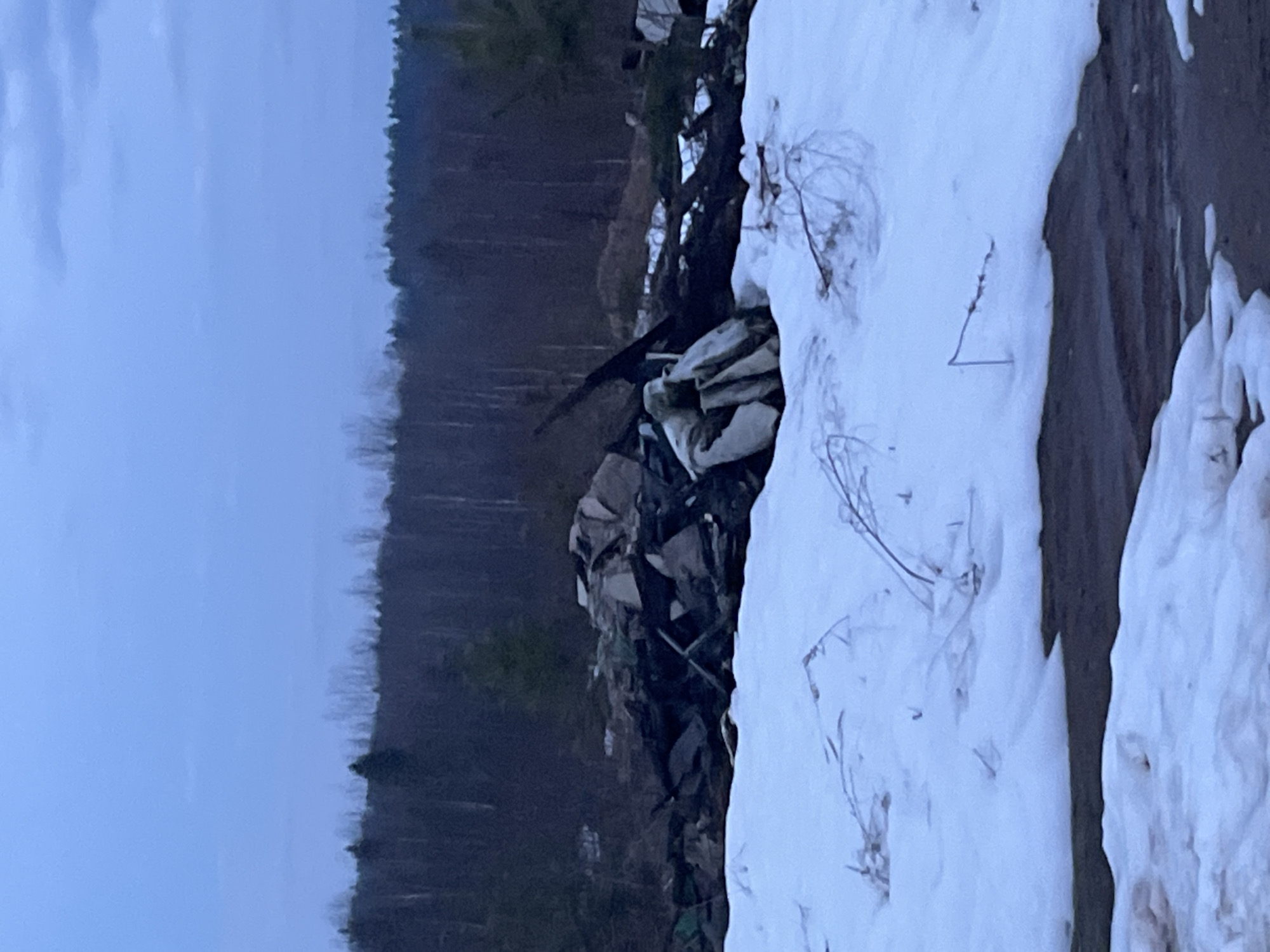 Garbage dump documented near forest in Марковский, Russia