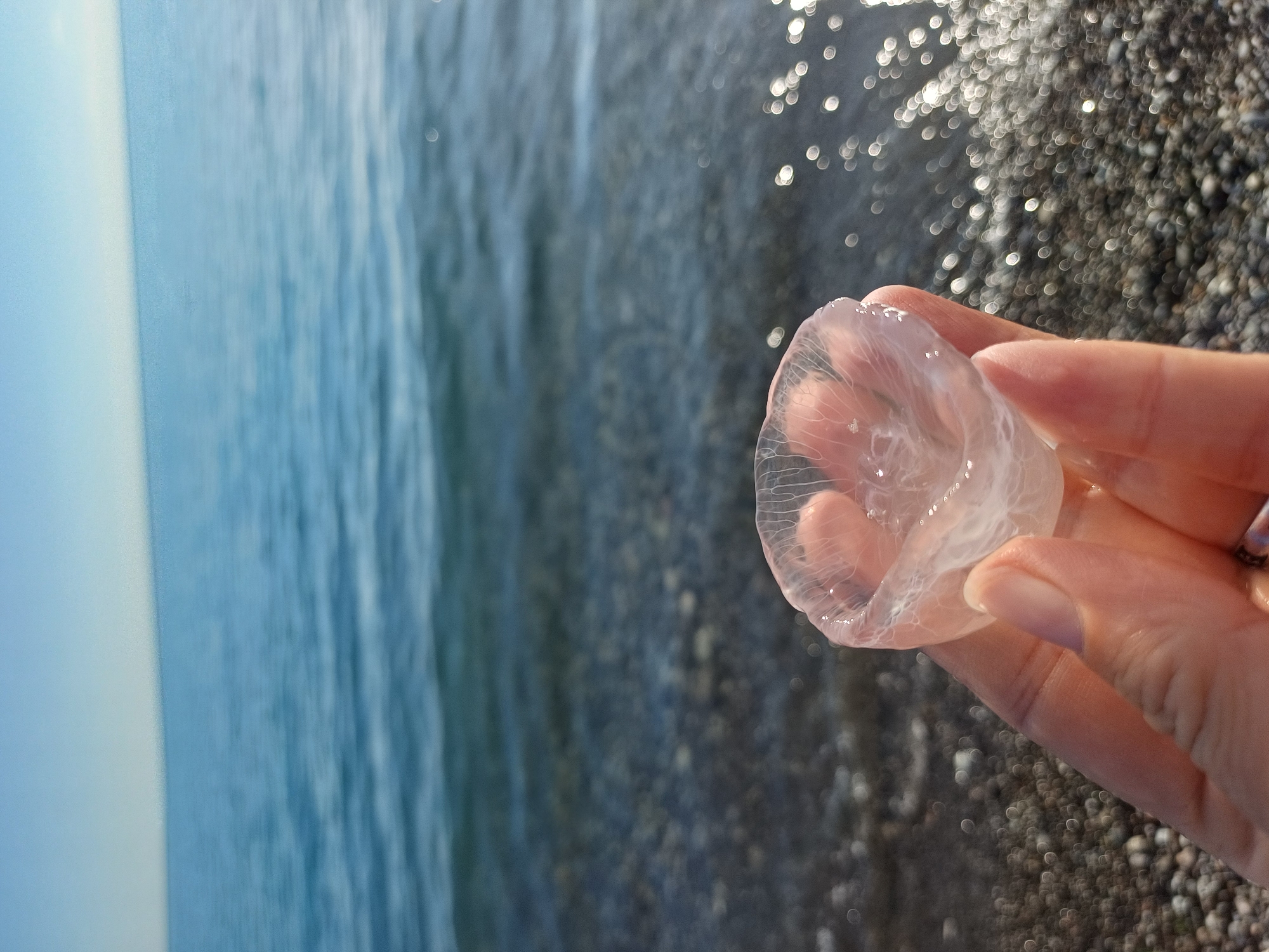 Summer beach day unfolds at Sochi's Black Sea shore