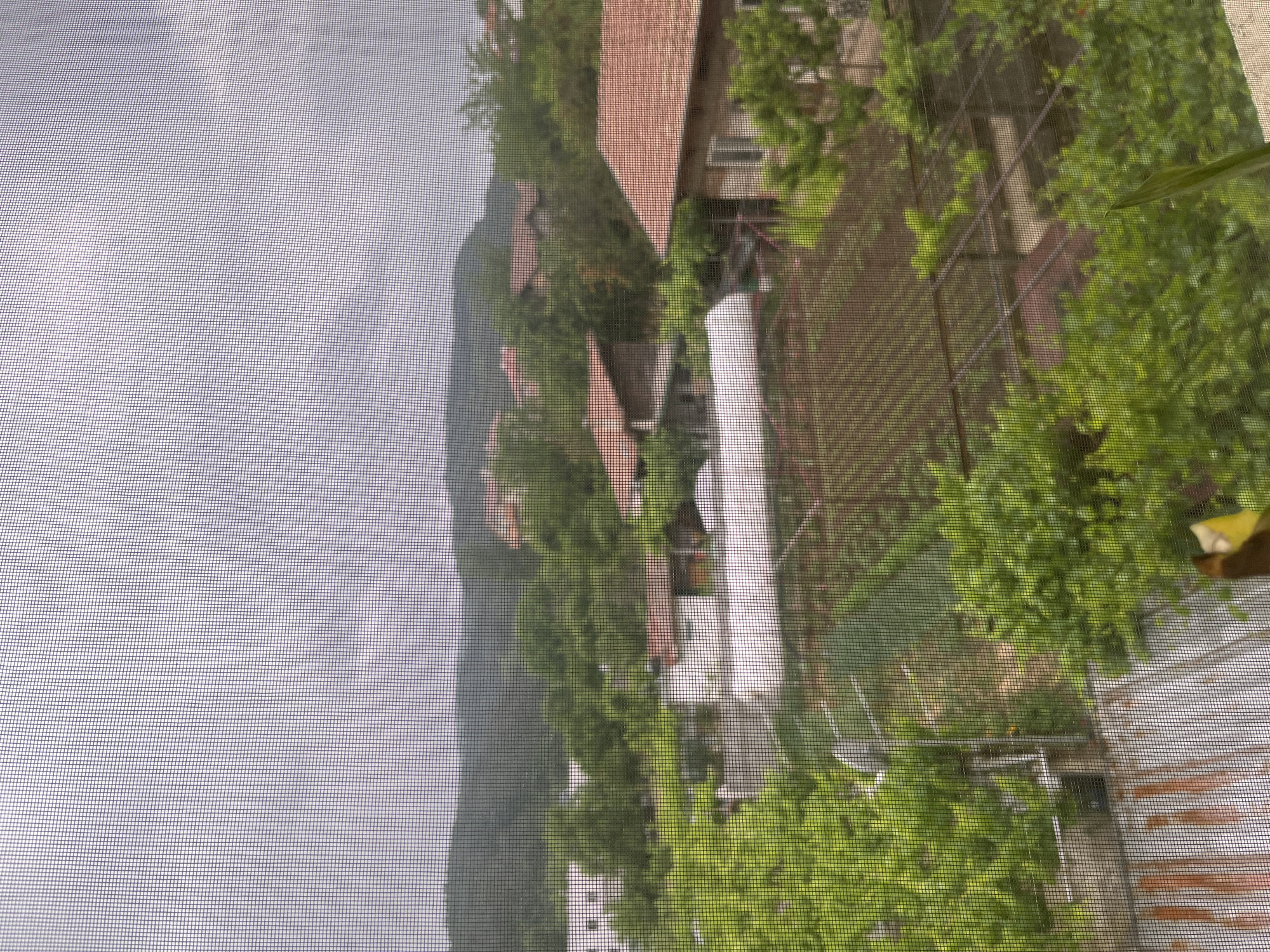 Morning life documented from residential window in Bulgarian village