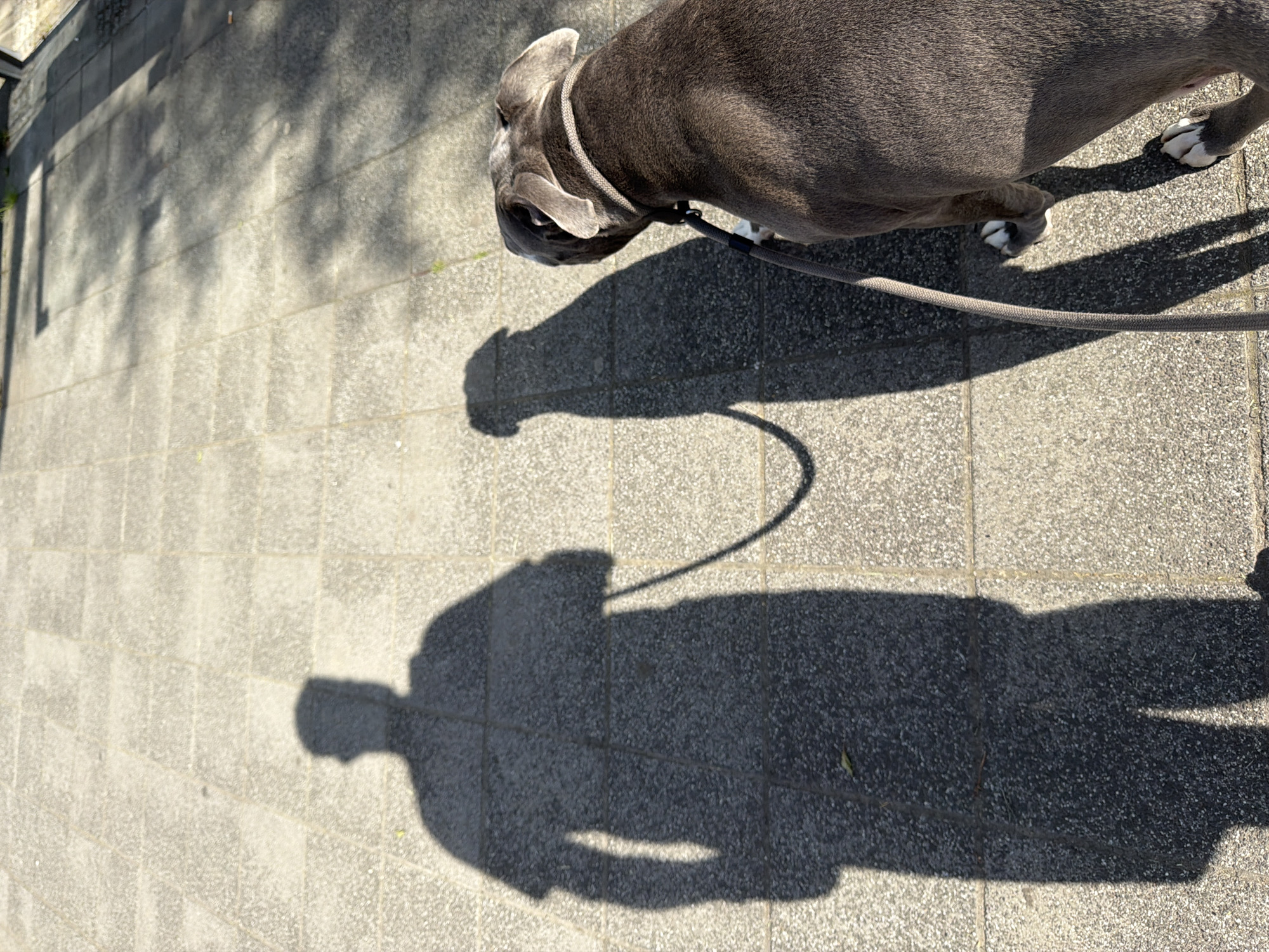 Afternoon life documented in Esch-sur-Alzette, Luxembourg