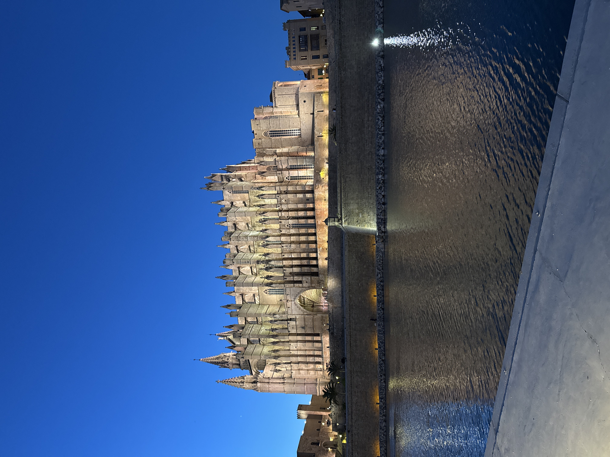 Evening view captured of Palma's historic cathedral La Seu