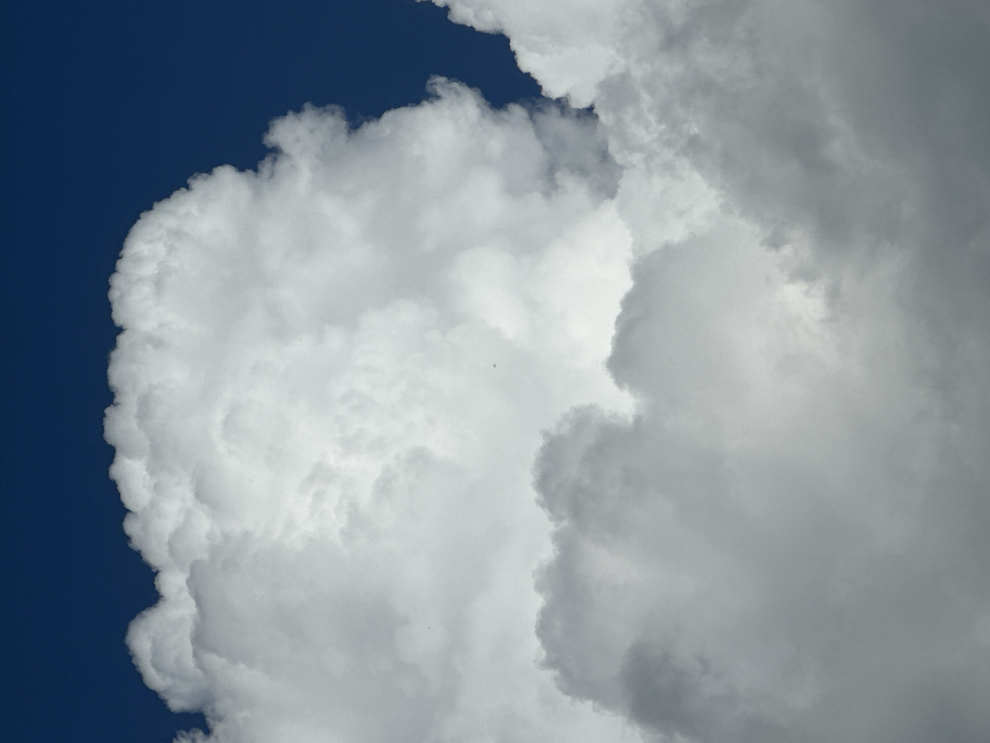 Afternoon clouds and resting cat observed over 96 minutes