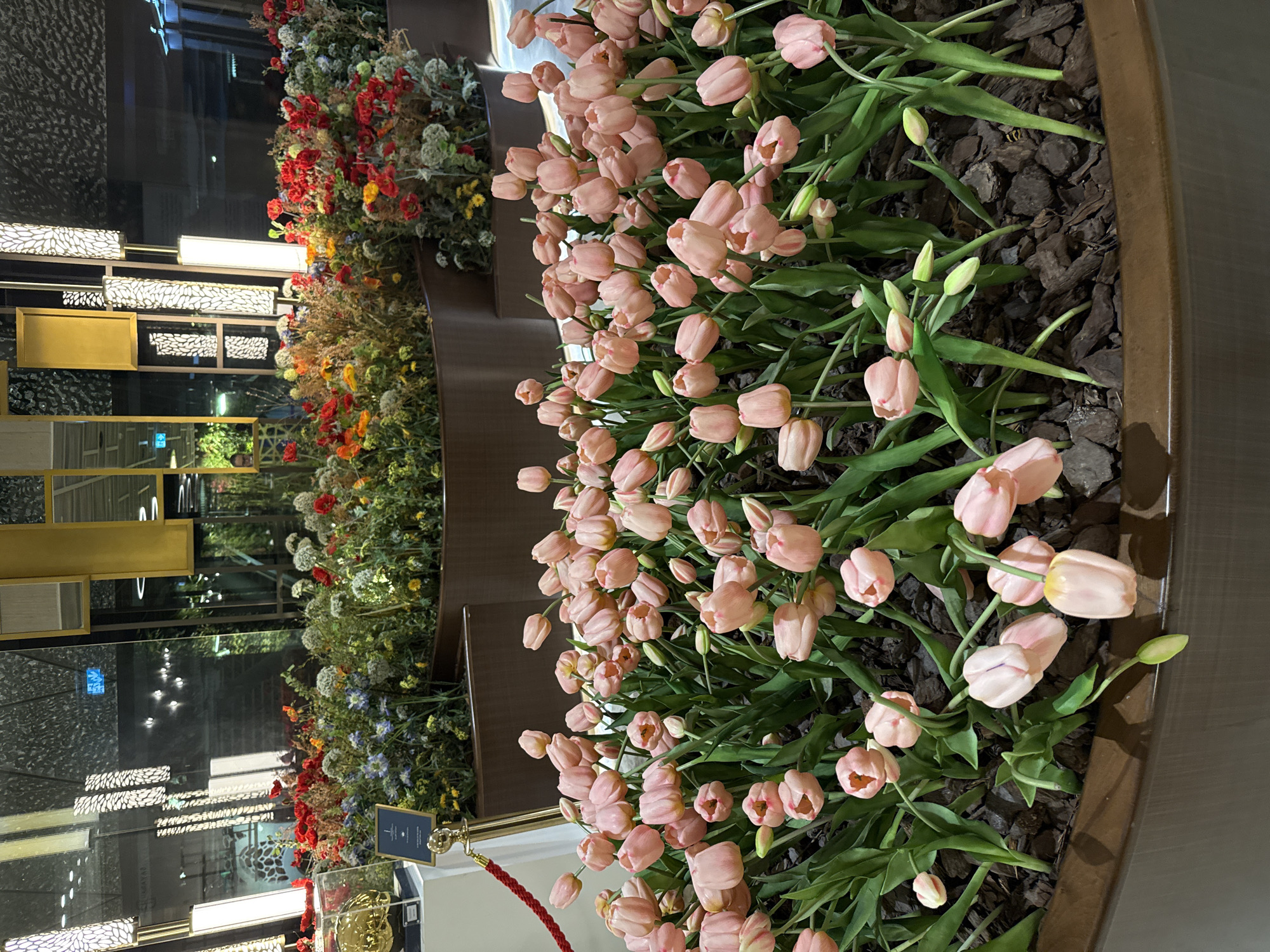 Luxury venue tour documented in Doha showroom spaces