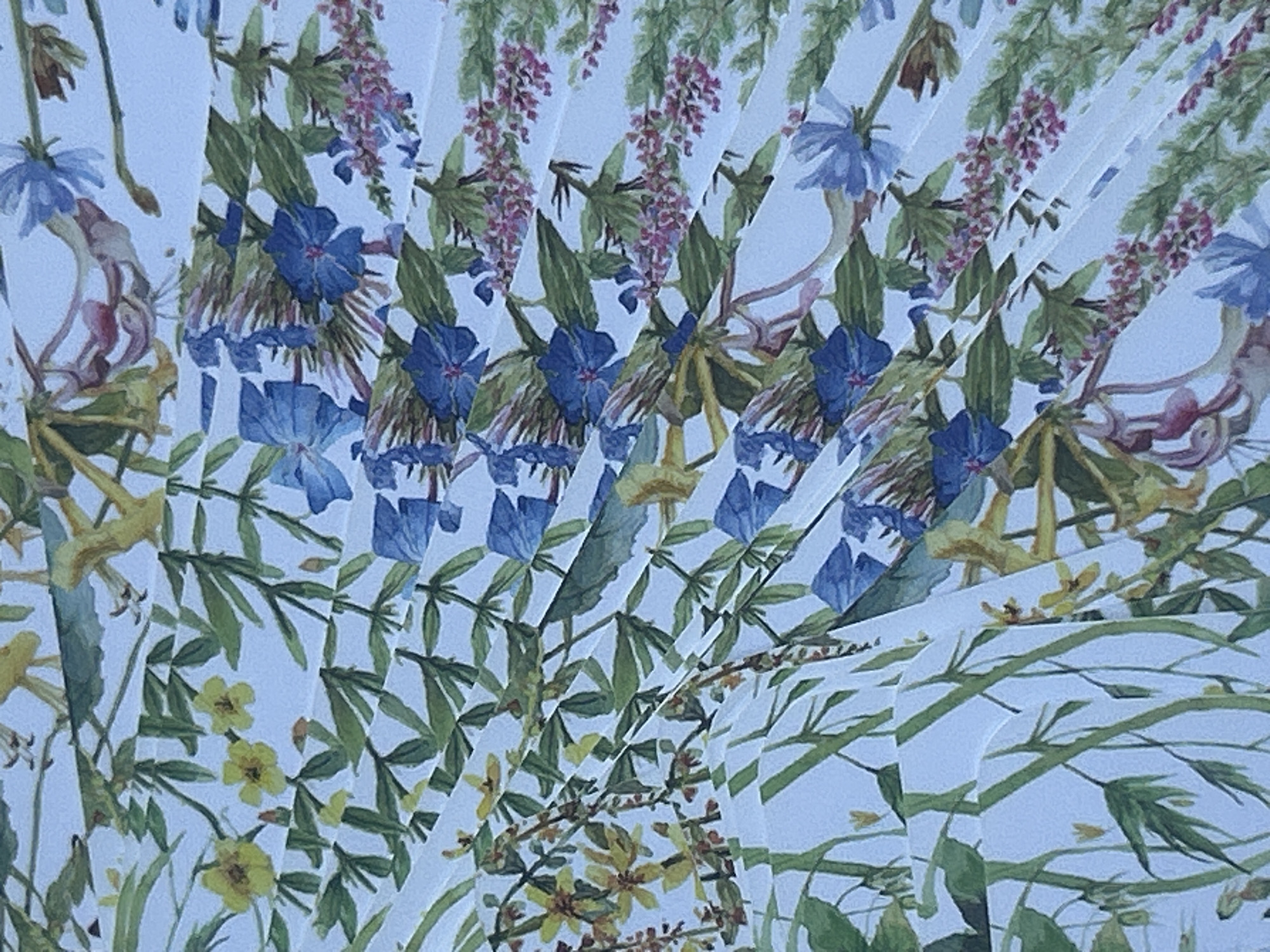 Garden coffee break with flowers documented in 30-image sequence