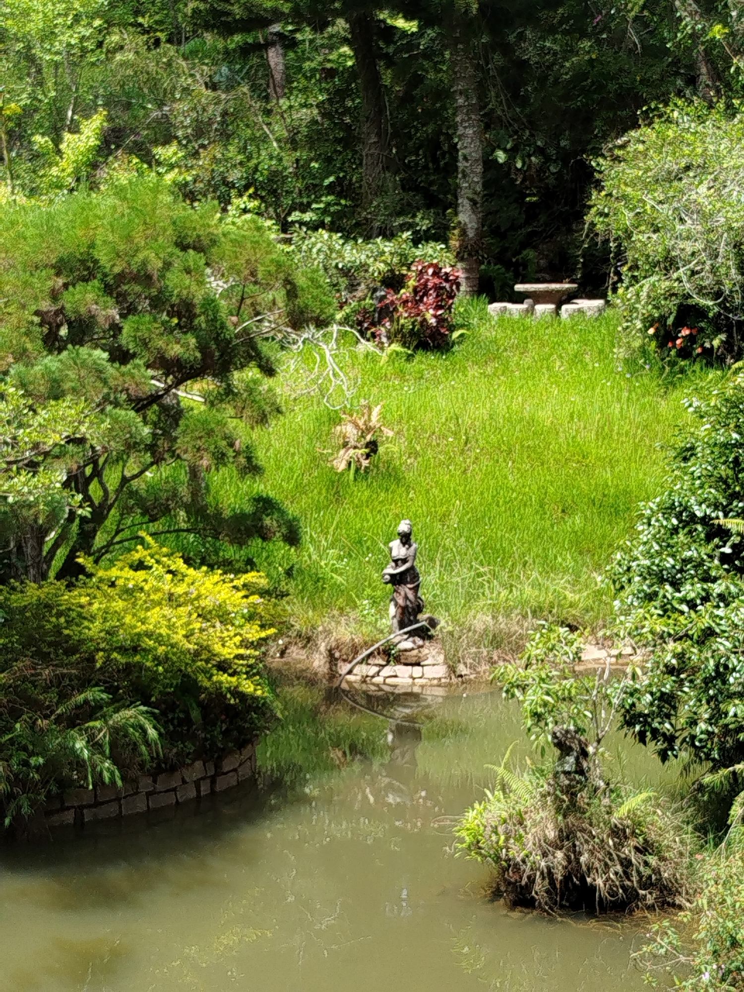 Garden tour documented in Da Lat, Vietnam park area