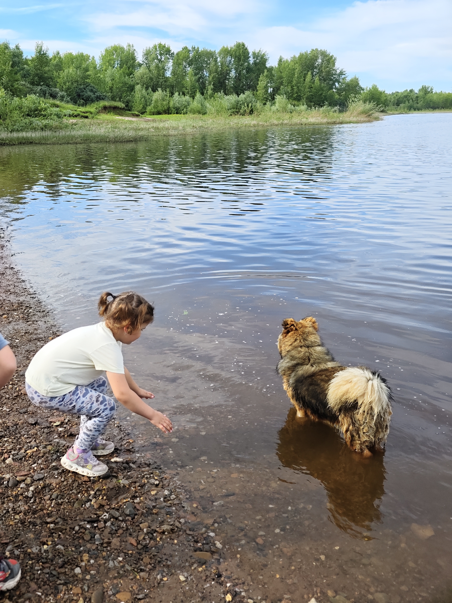 Kids and dogs at a Russian lakeshore, summer afternoon