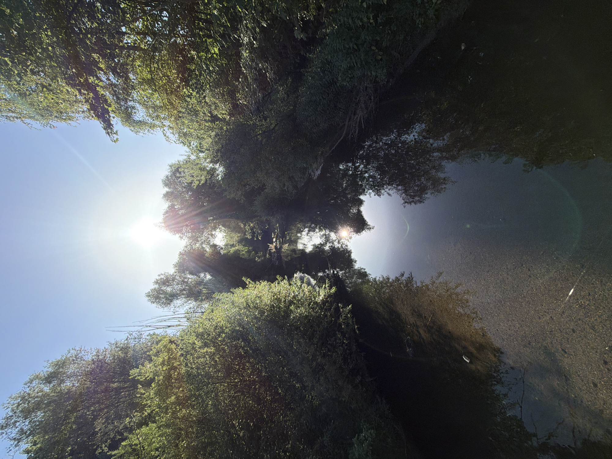 Sunday morning along the Alzette — nature, dogs, and quiet paths